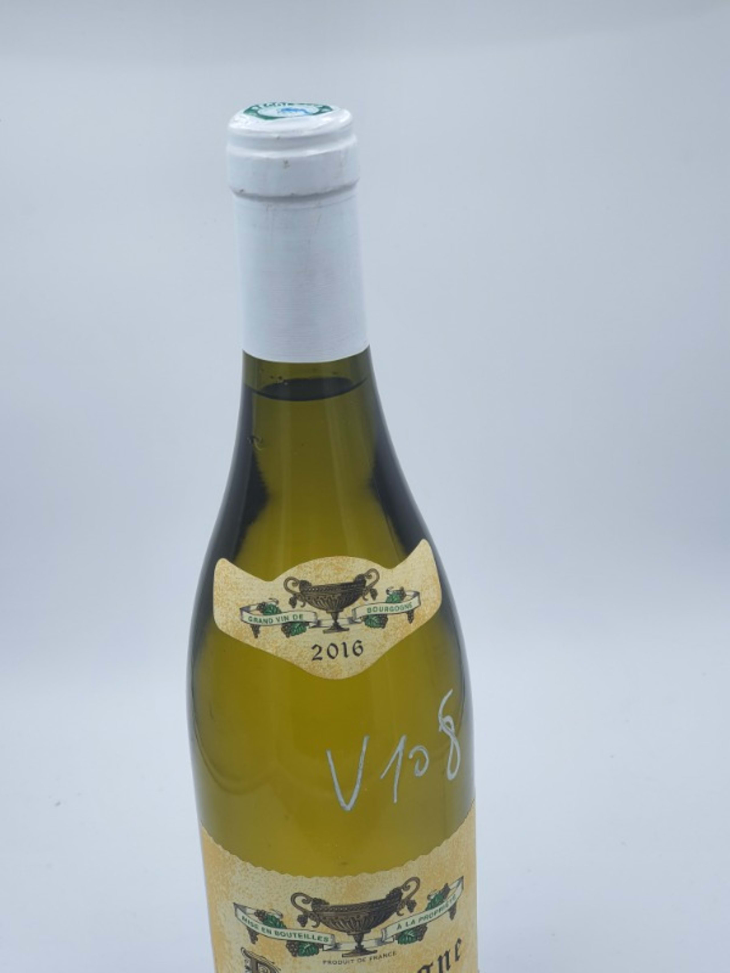 Wine Level