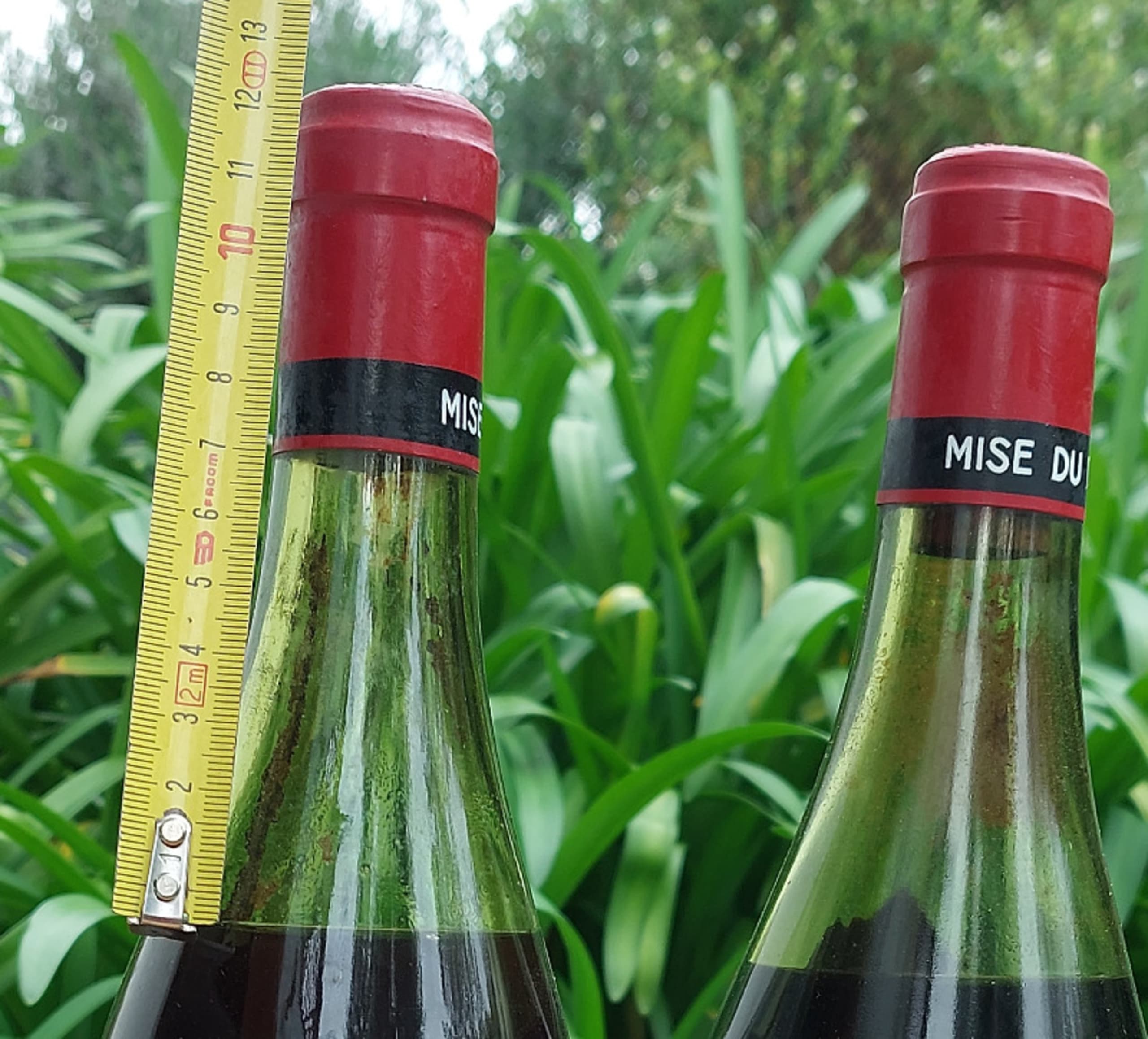 Wine Level