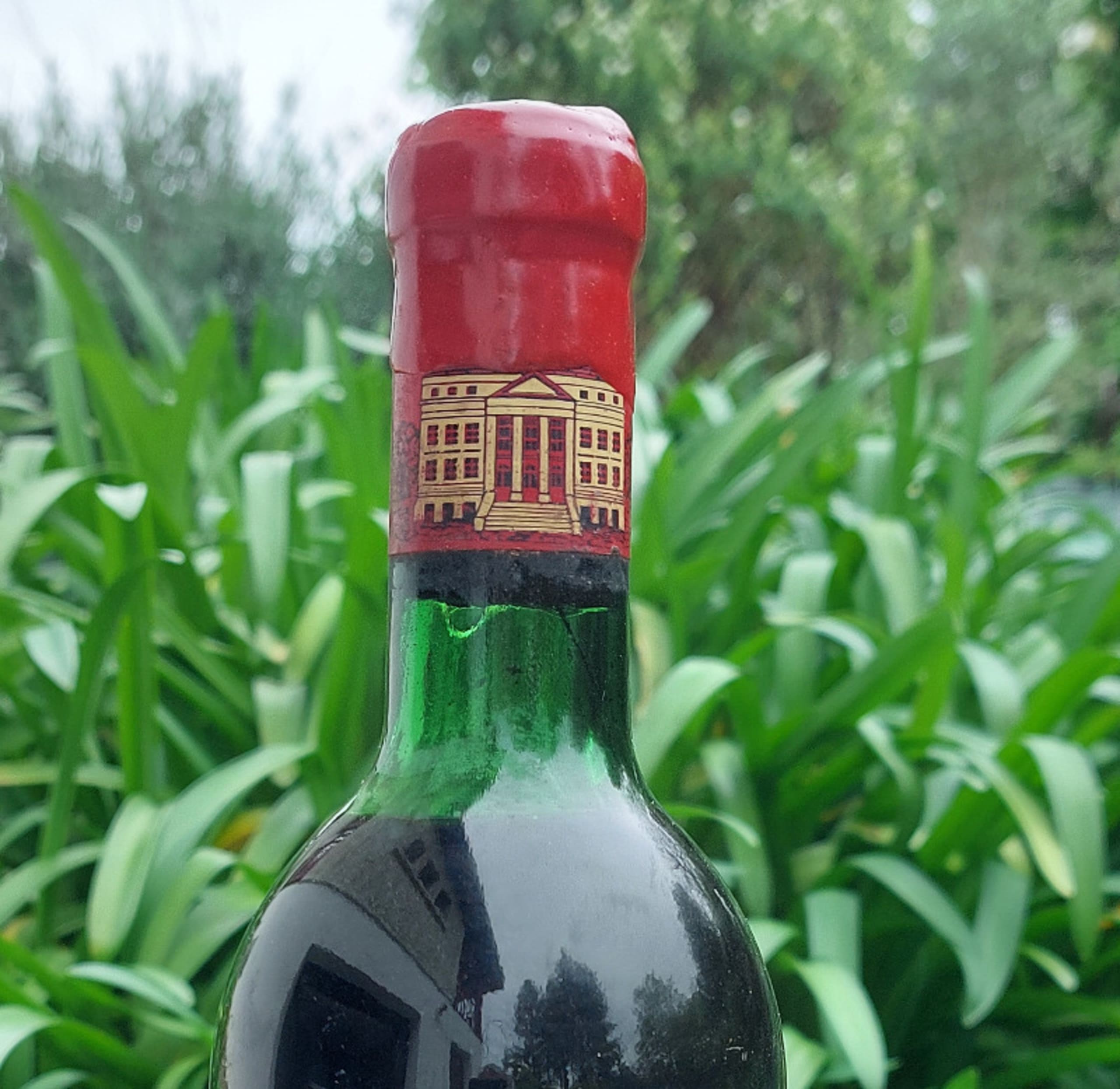 Wine Level