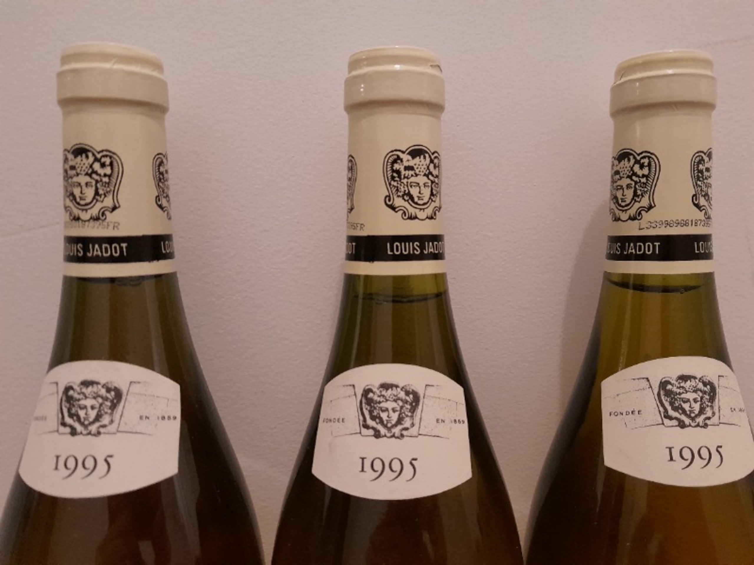 Wine Level