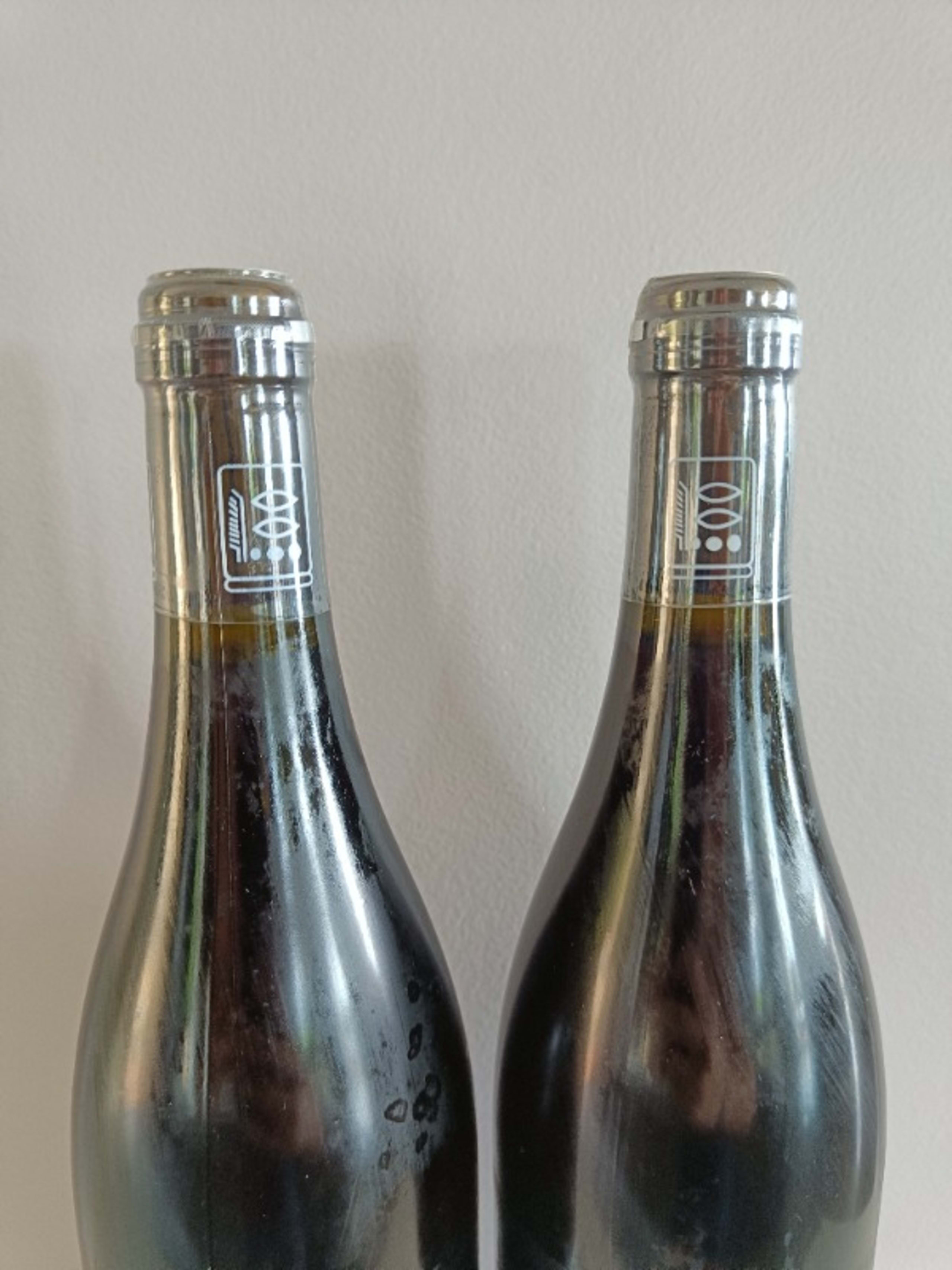 Wine Level
