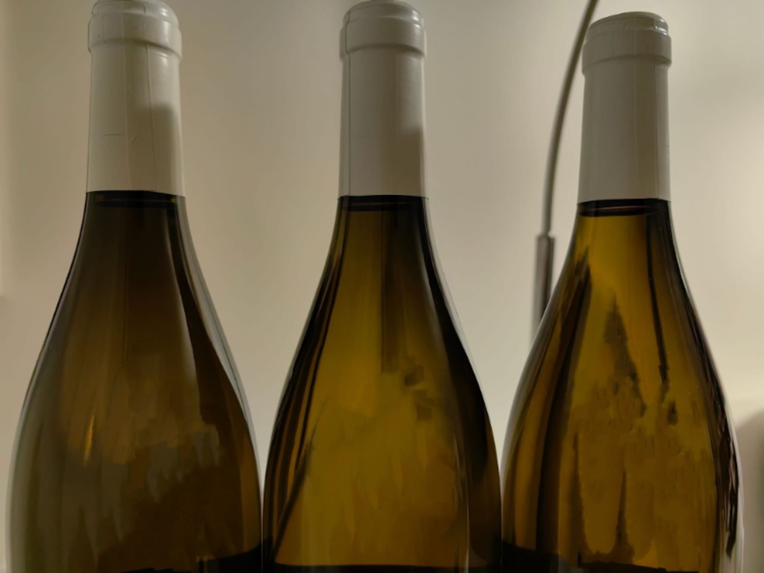 Wine Level