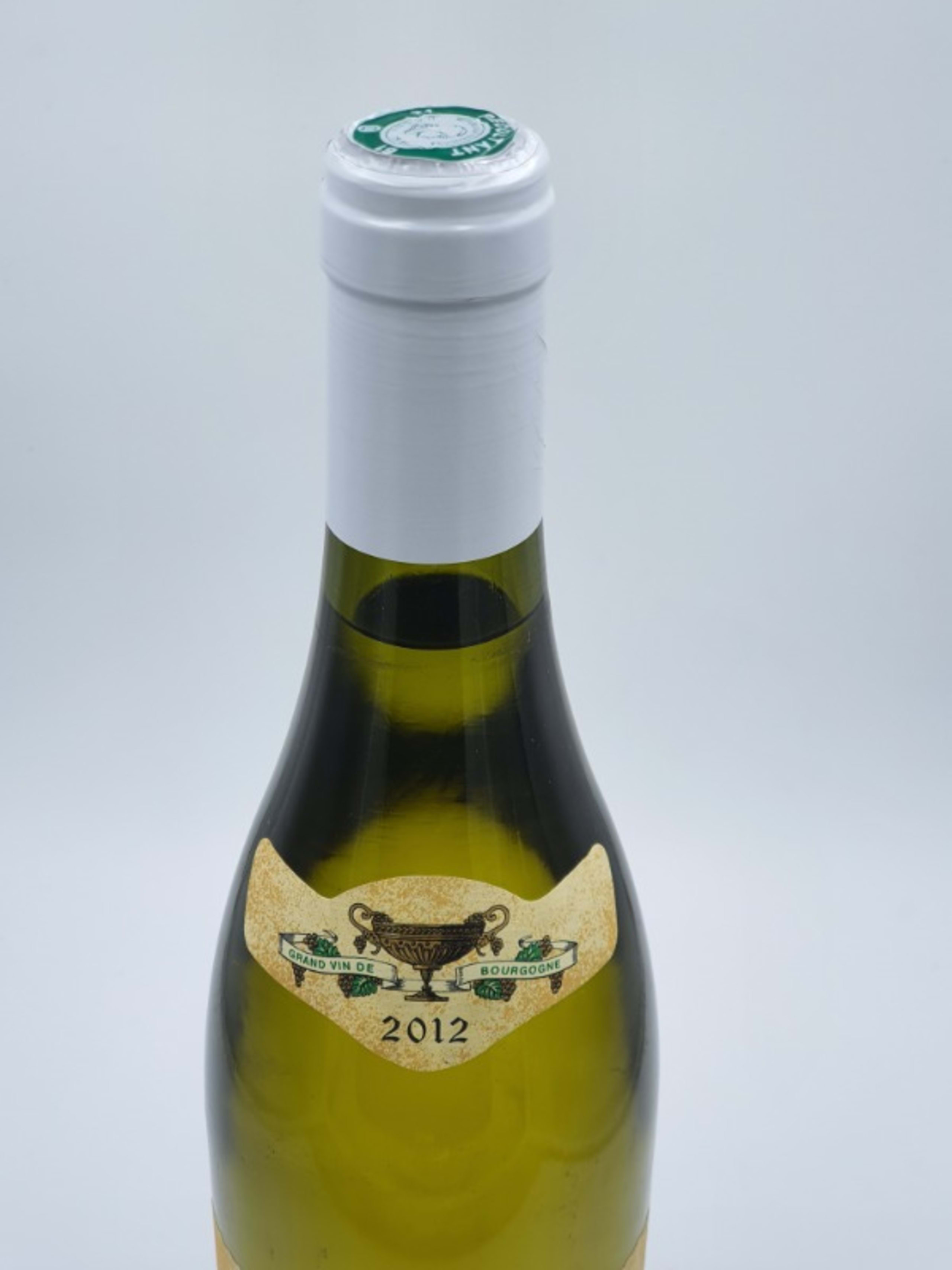 Wine Level
