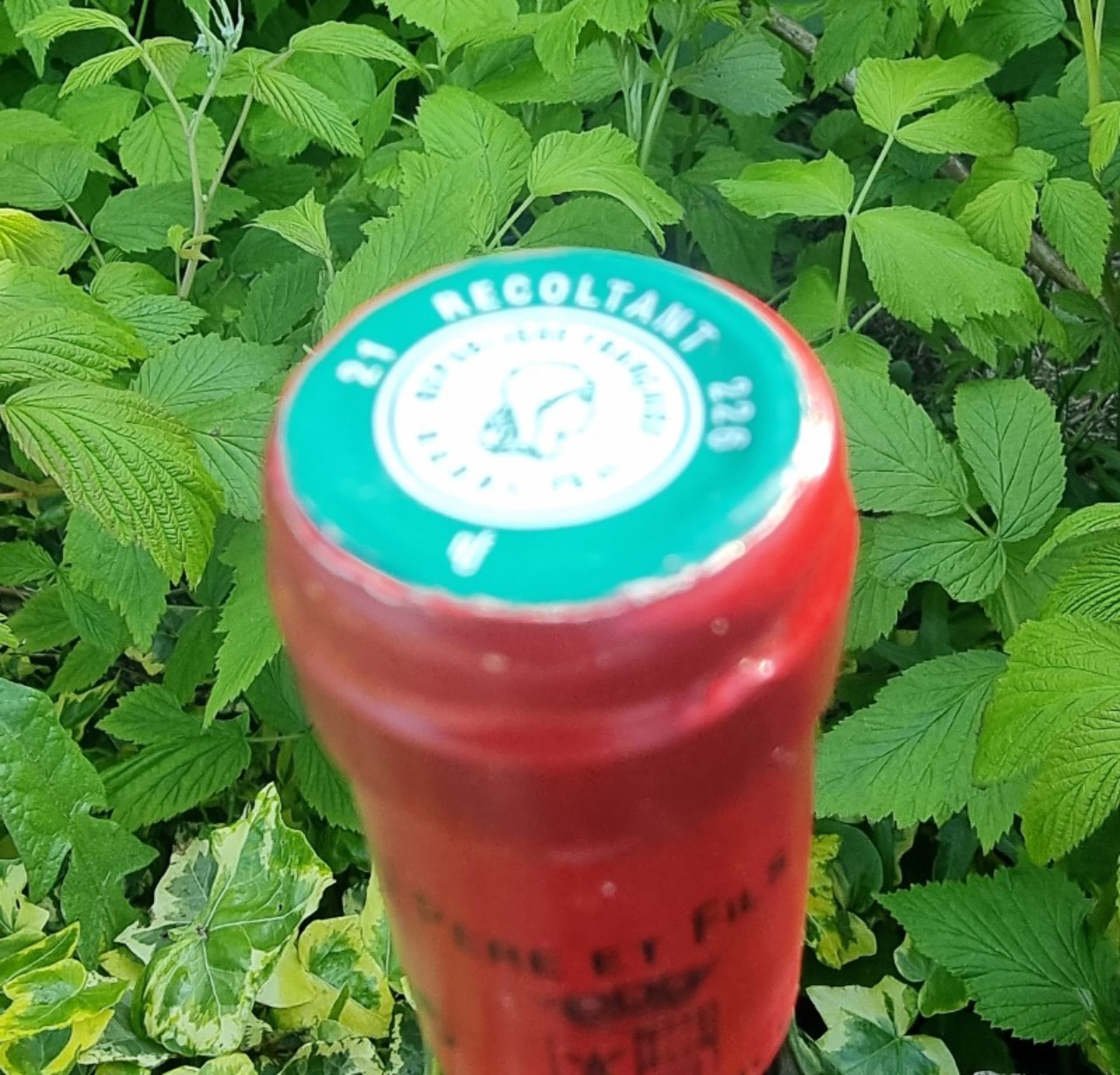 Capsules