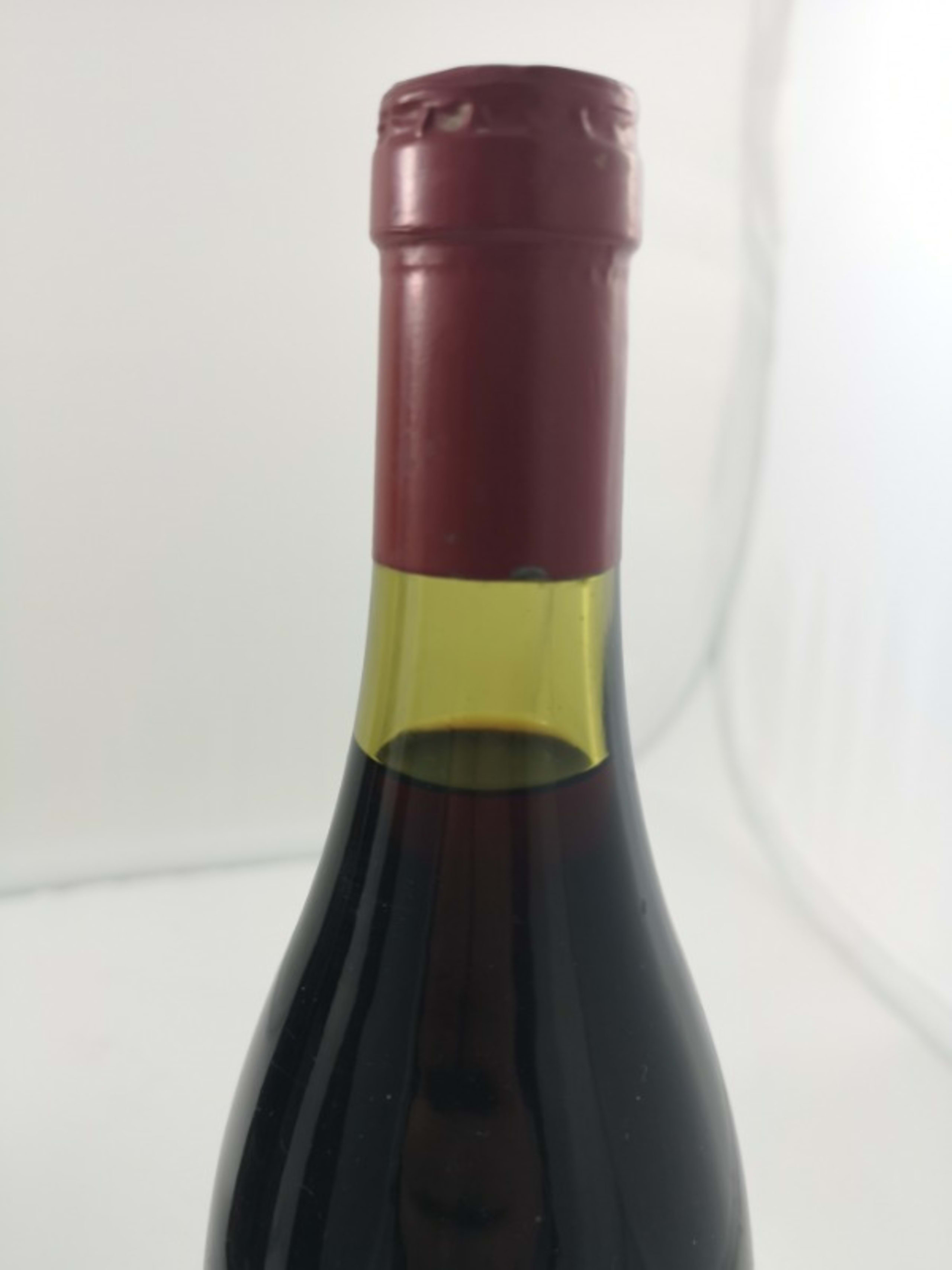 Wine Level