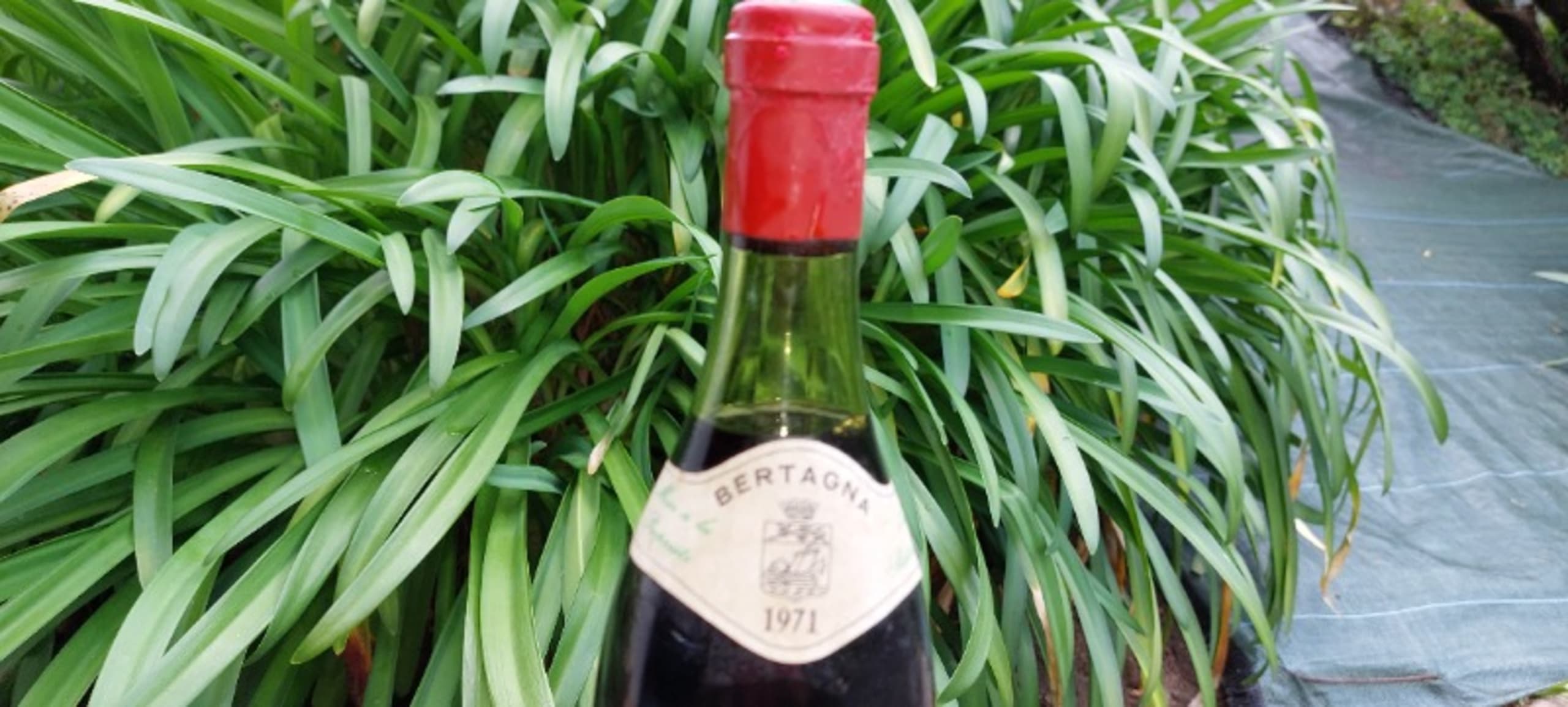 Niveau