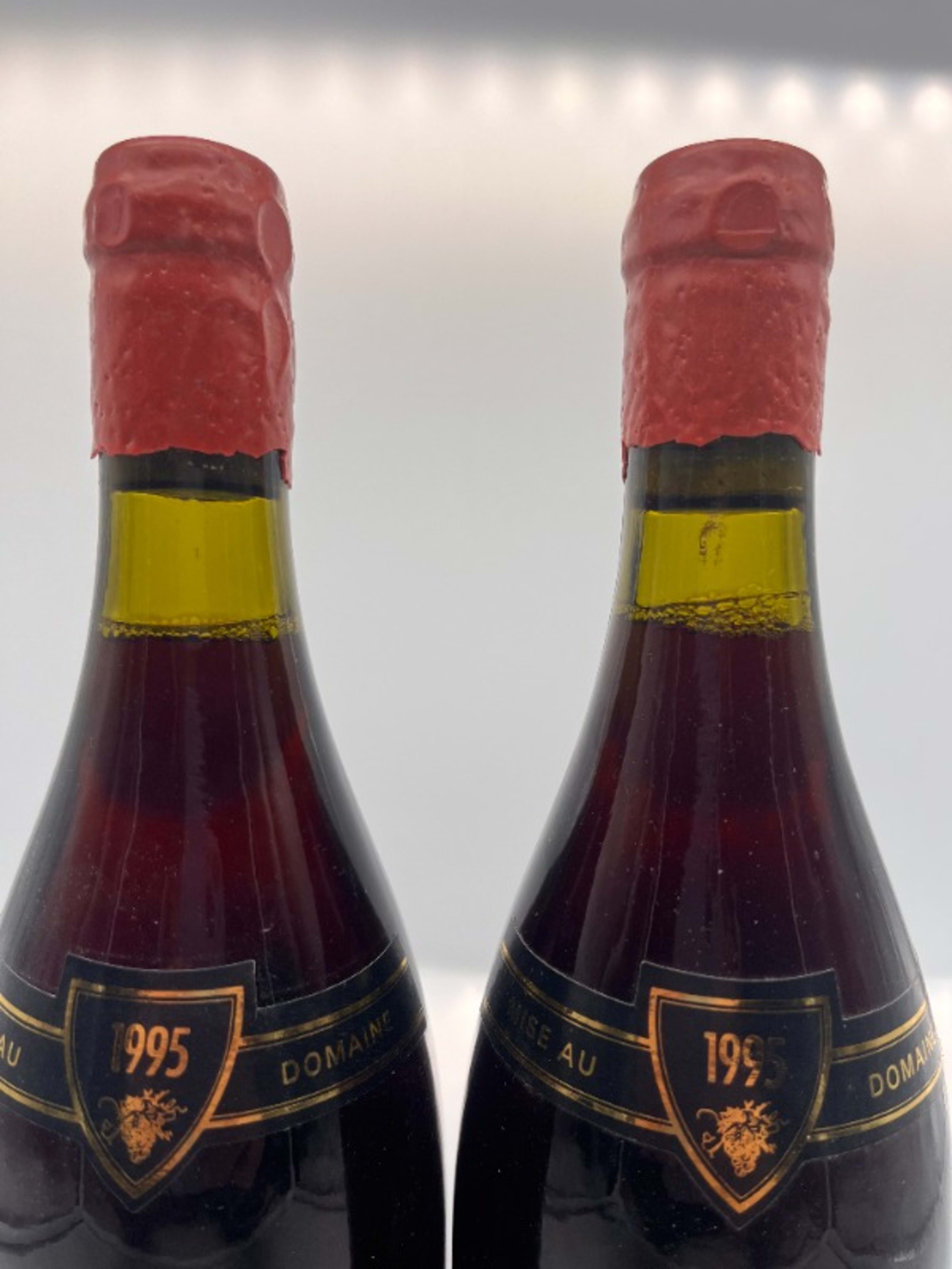 Wine Level