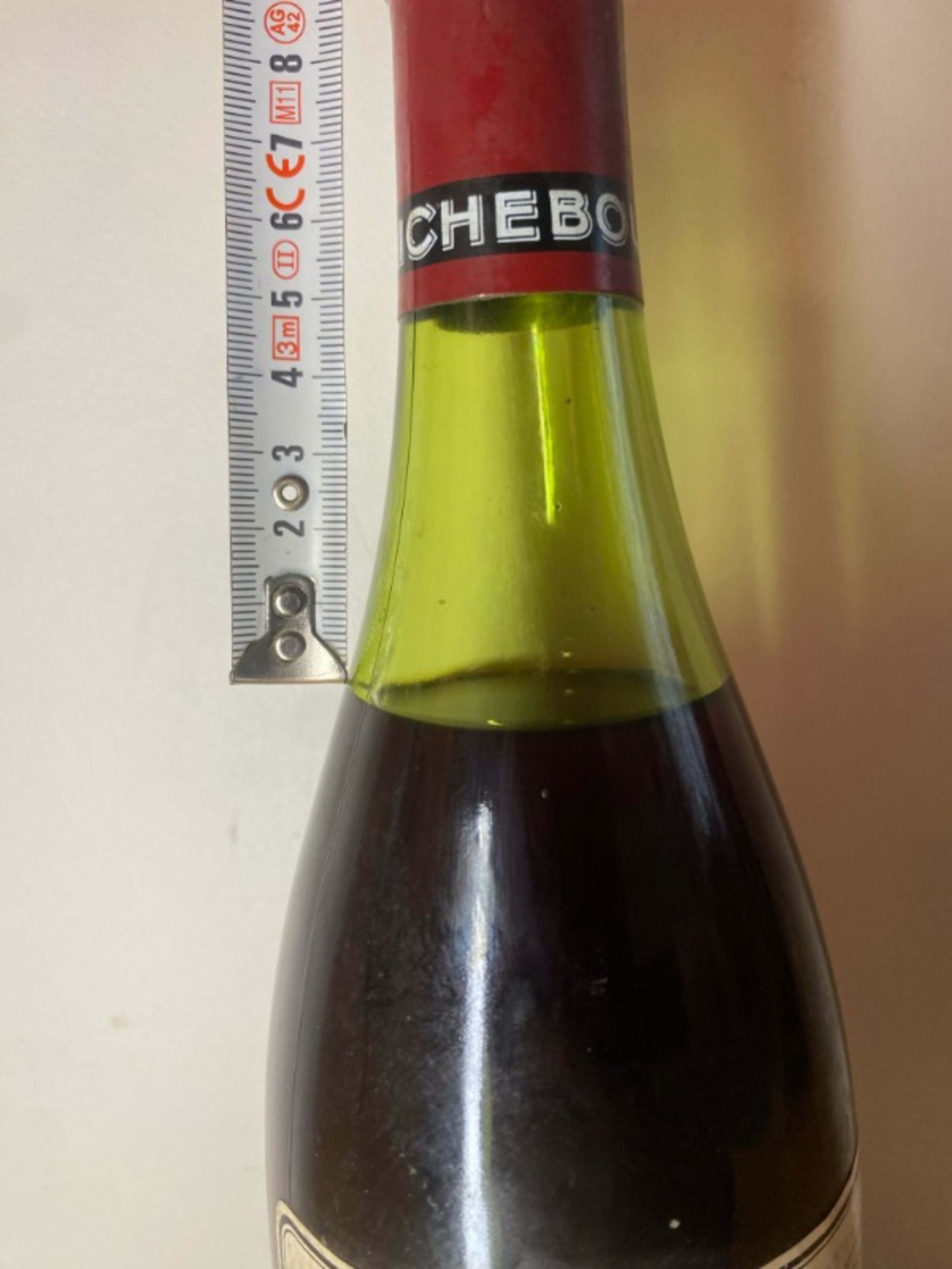 Wine Level