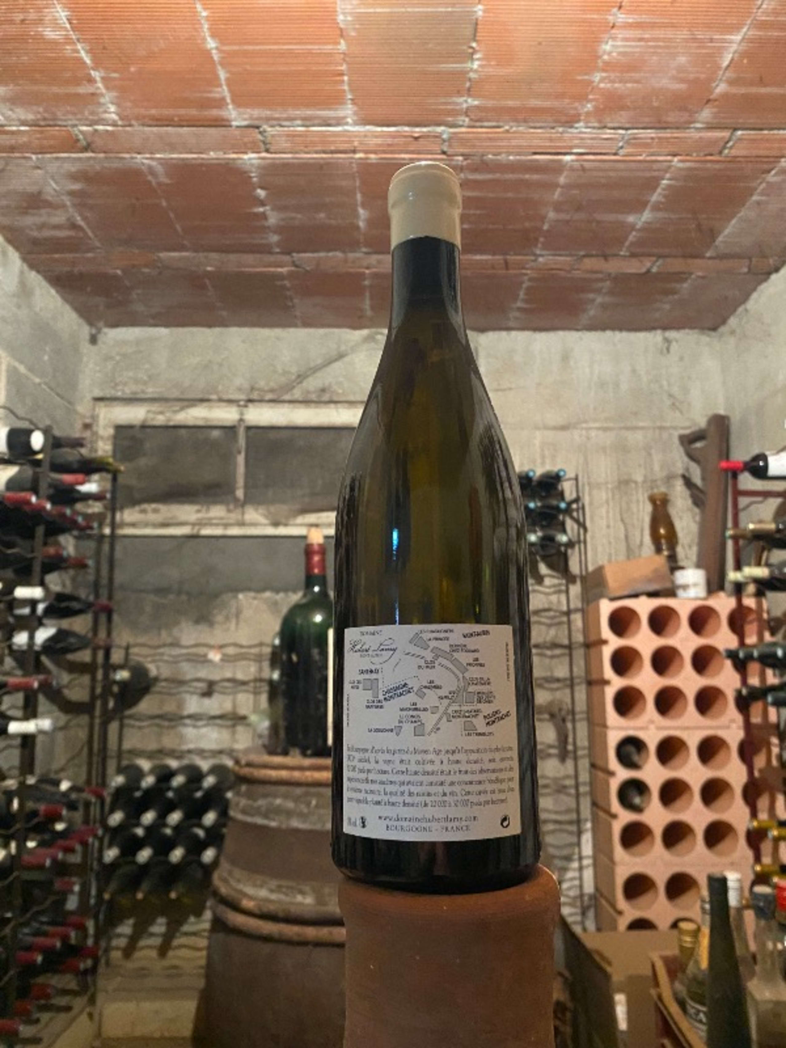 Wine Level