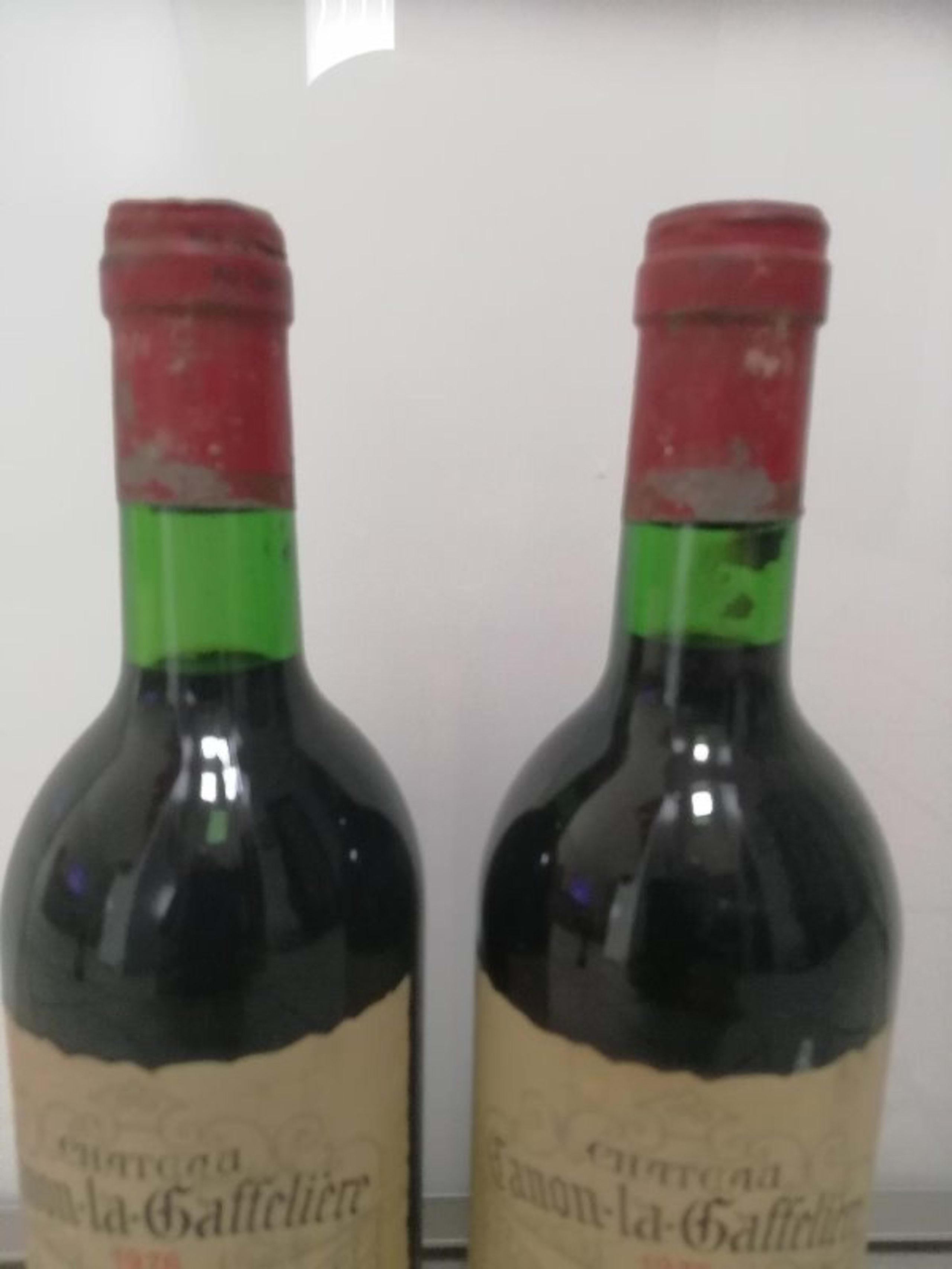 Wine Level