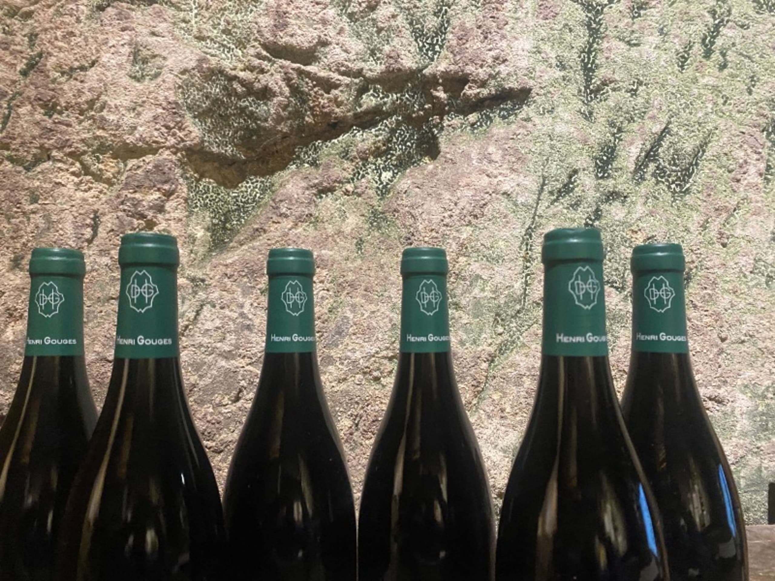 Wine Level