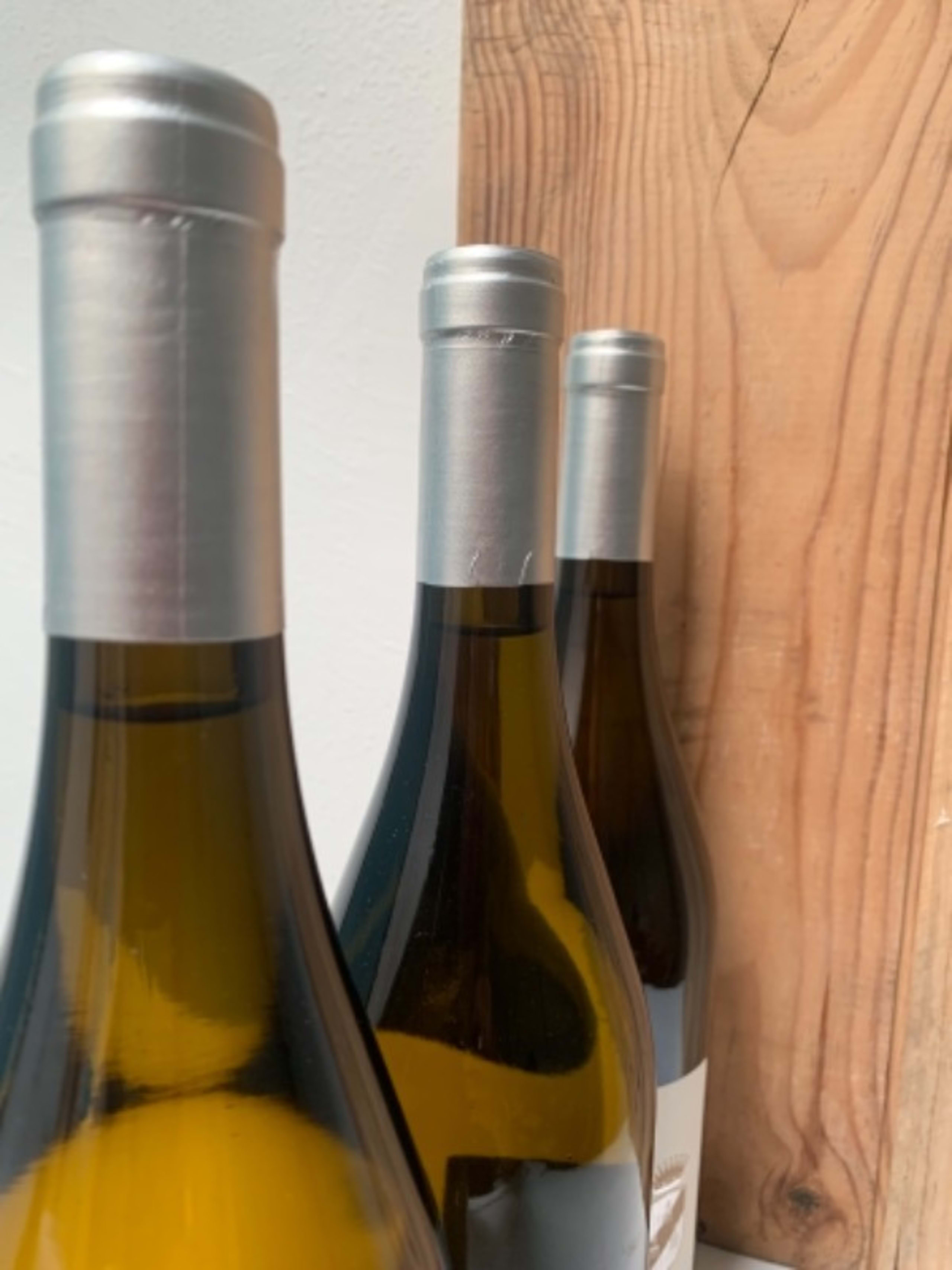 Wine Level