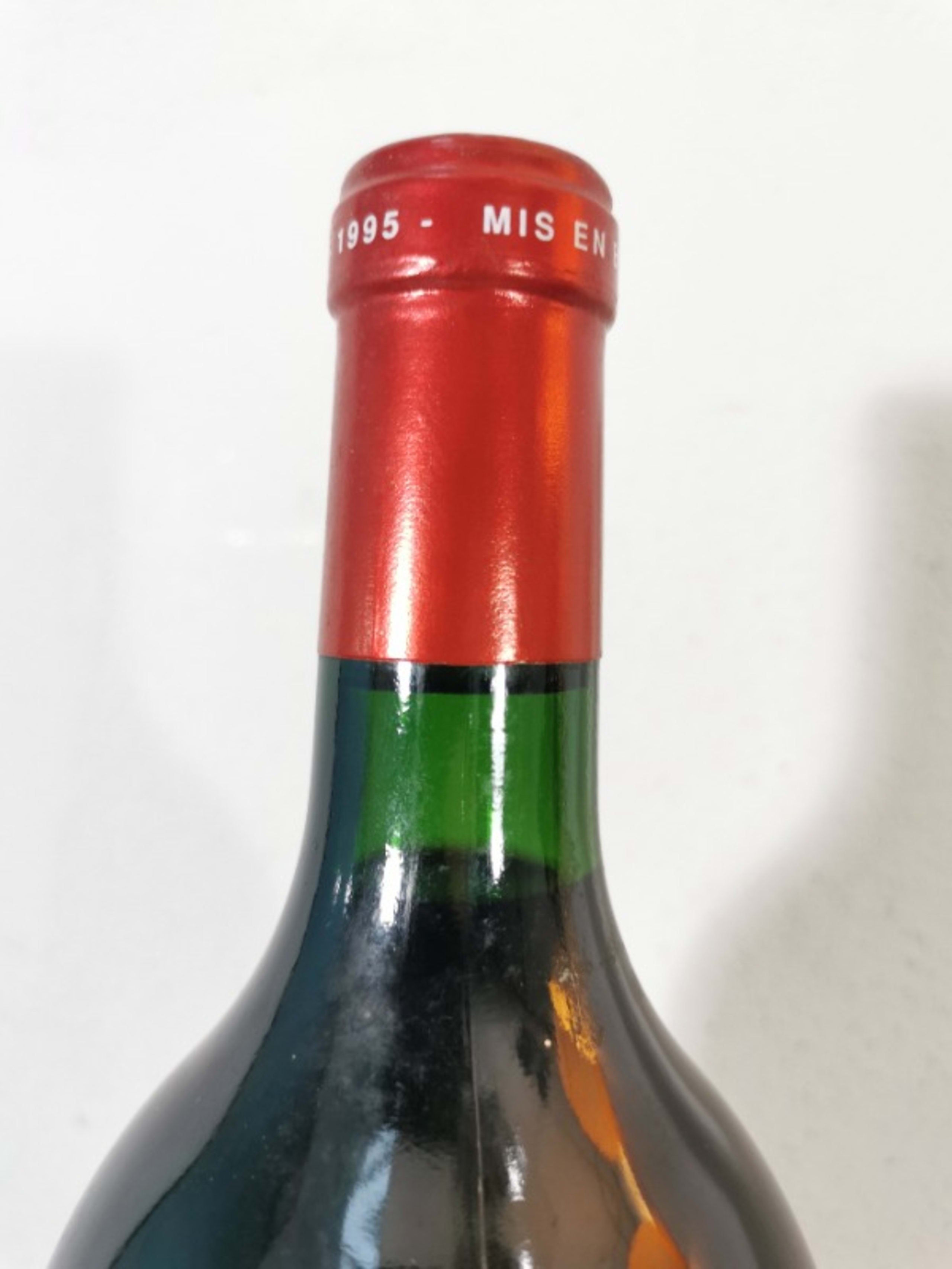 Wine Level