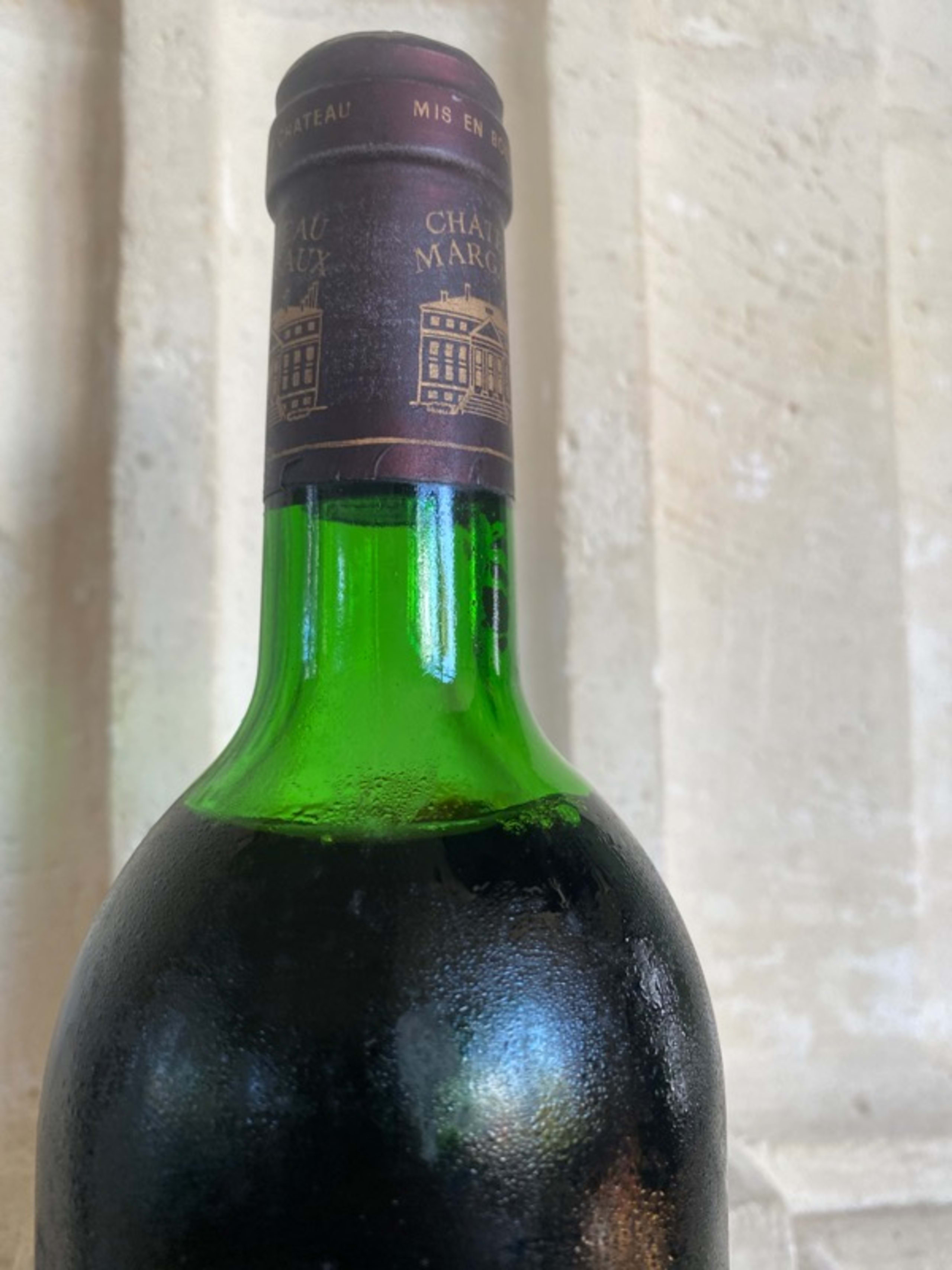 Wine Level