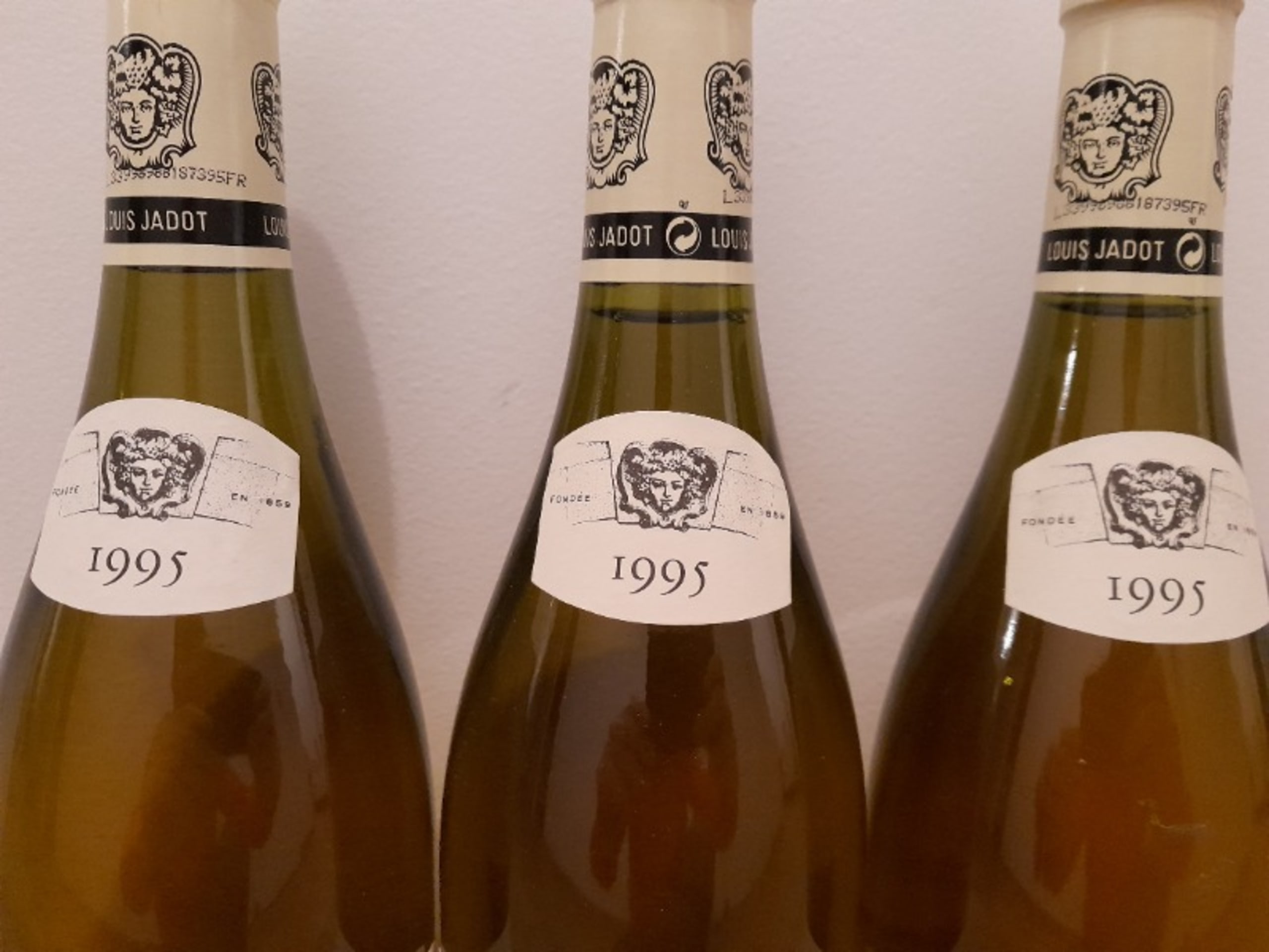 Wine Level