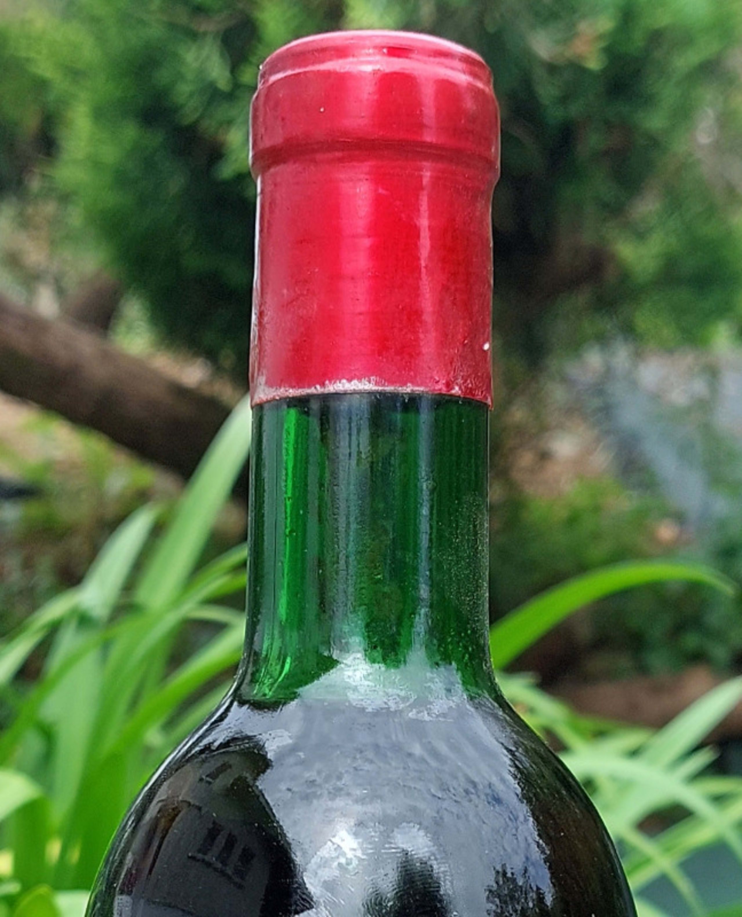 Wine Level