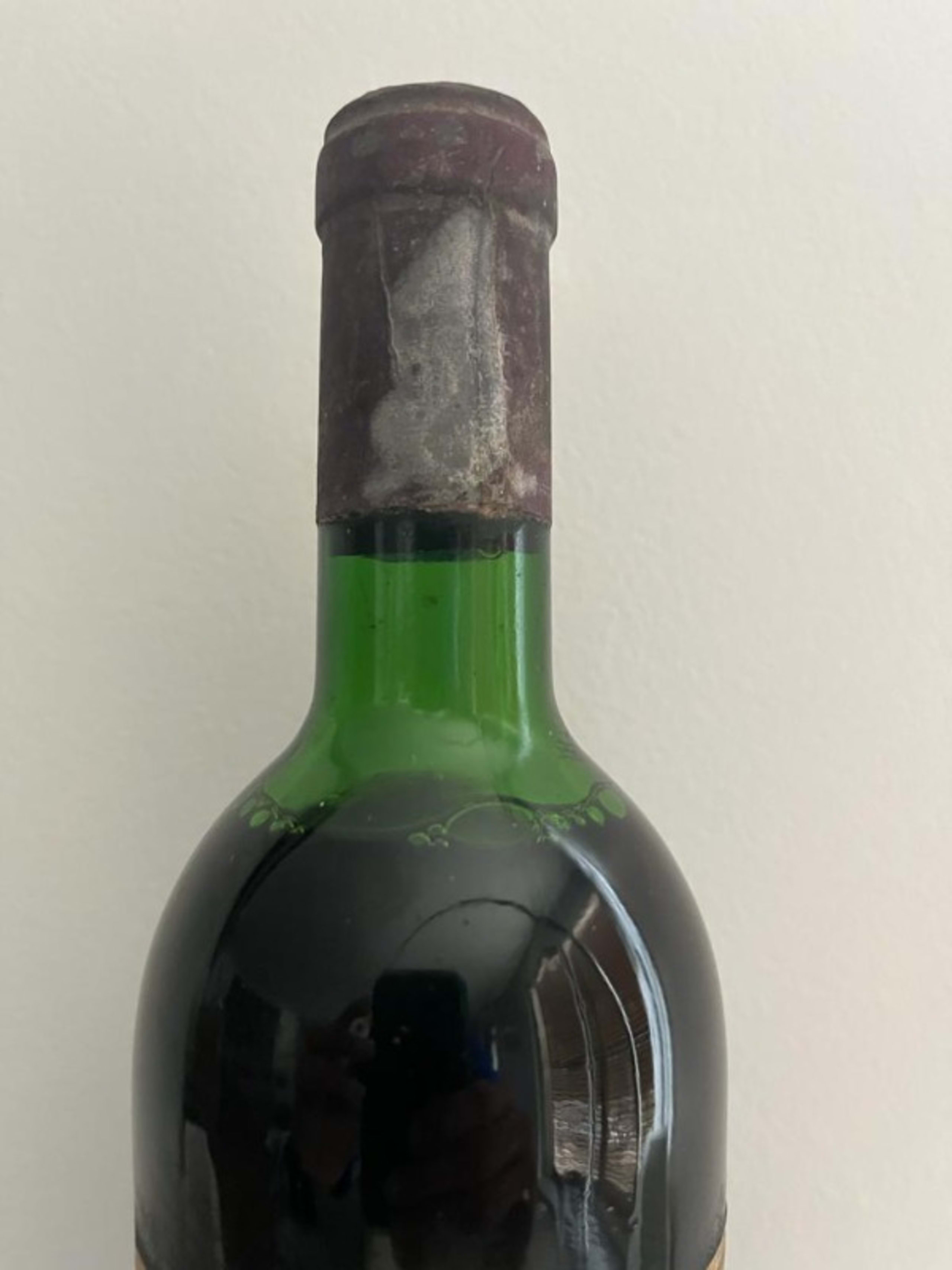 Wine Level