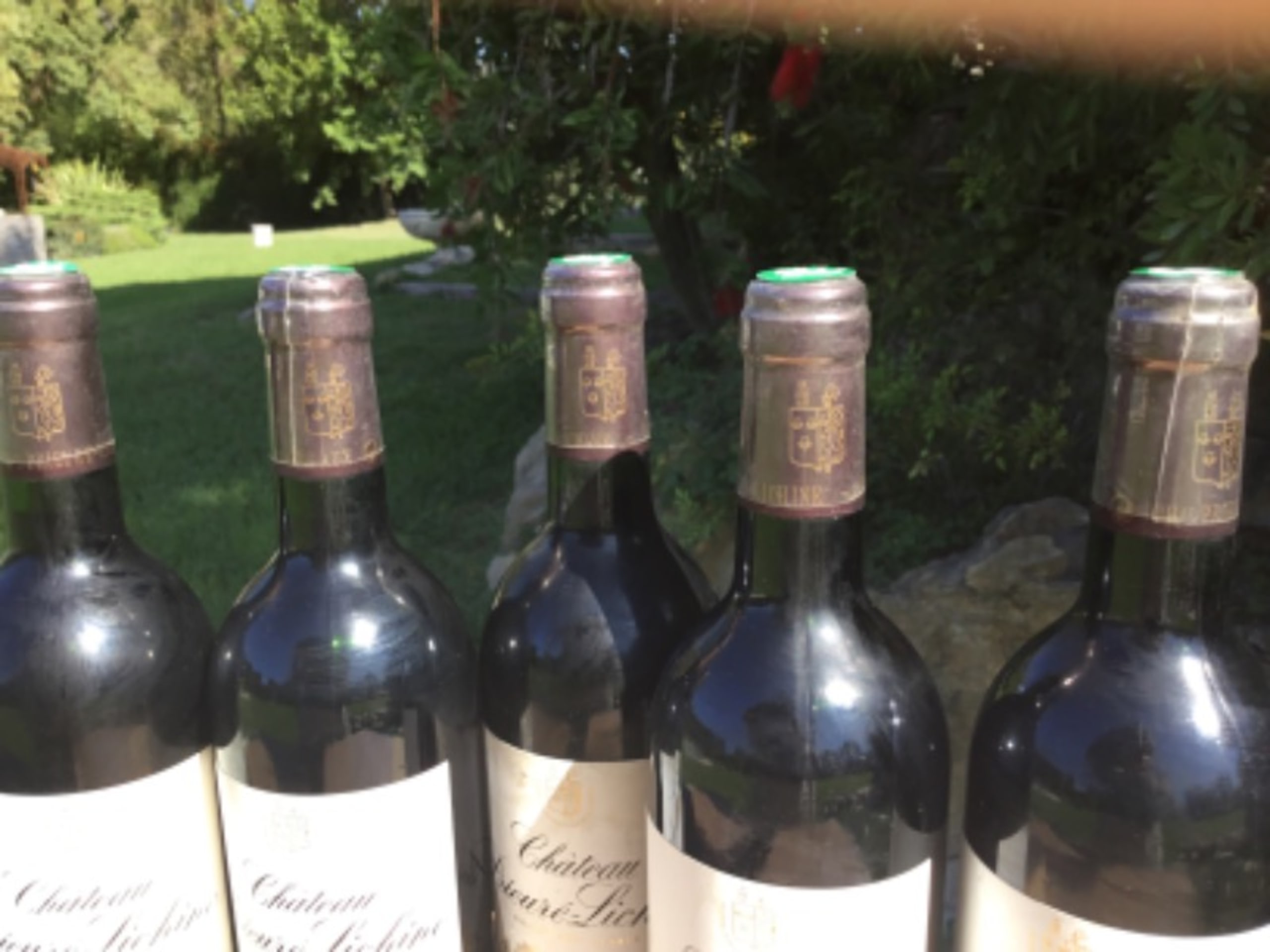Wine Level