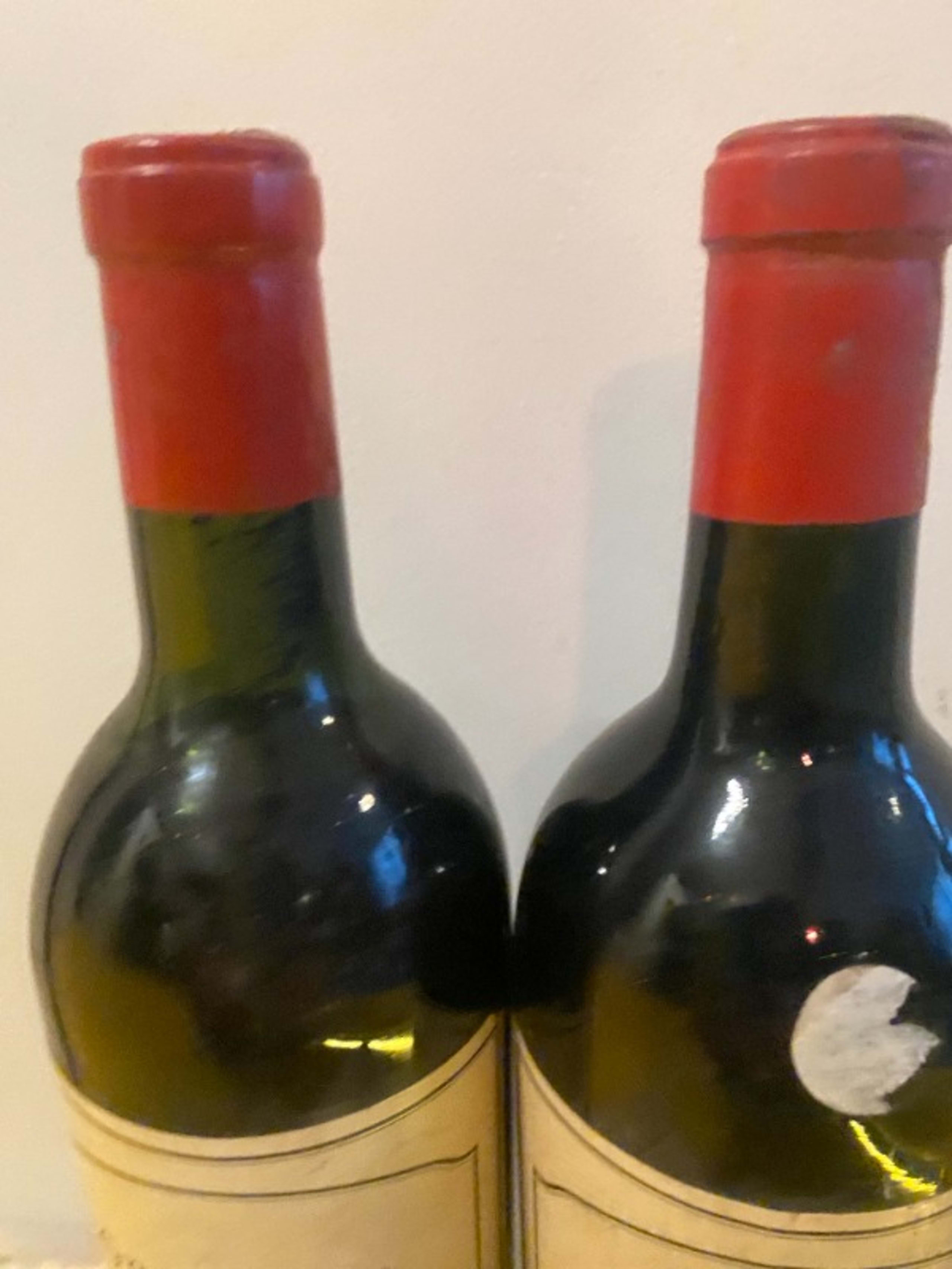 Wine Level
