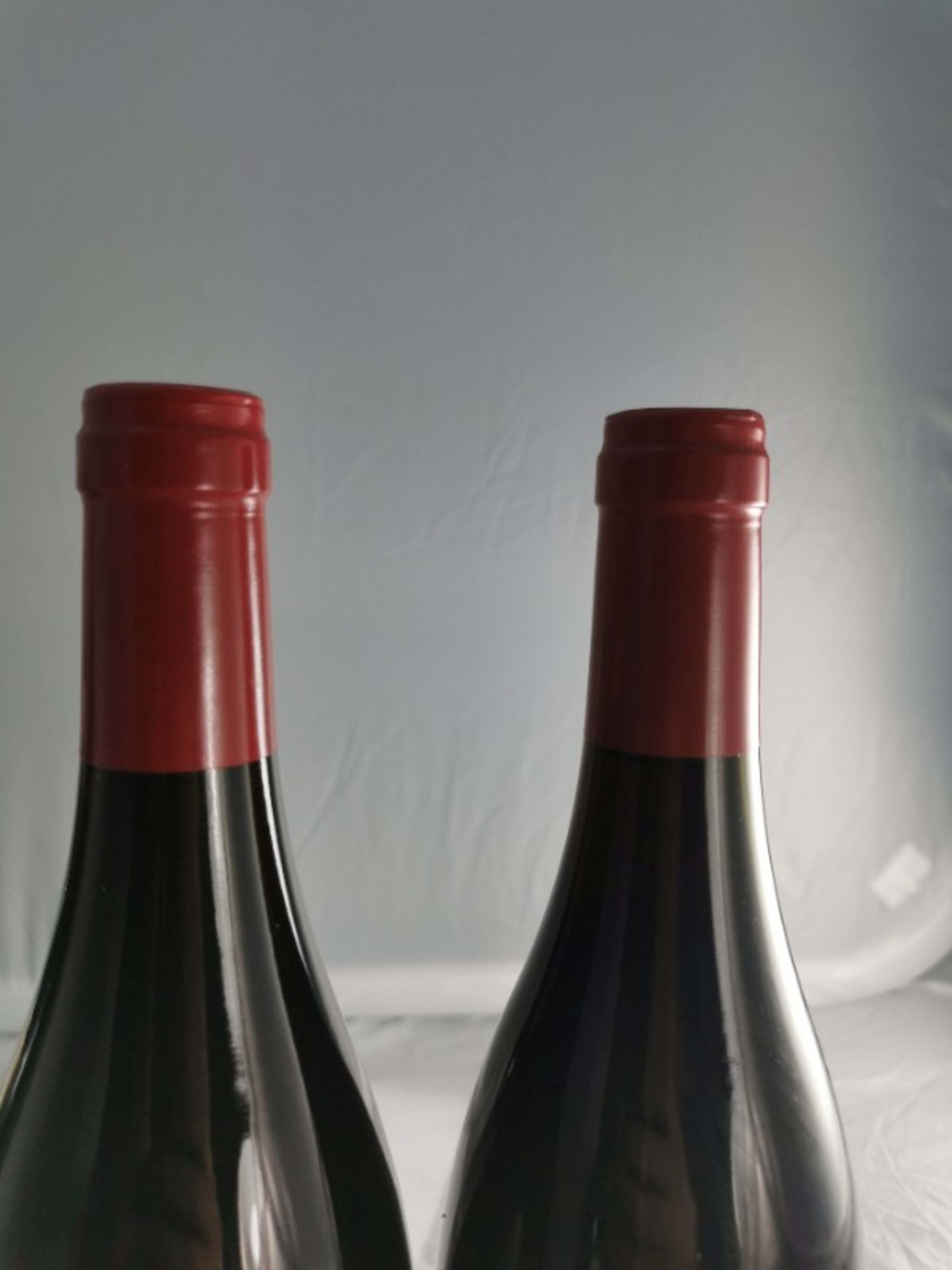 Wine Level