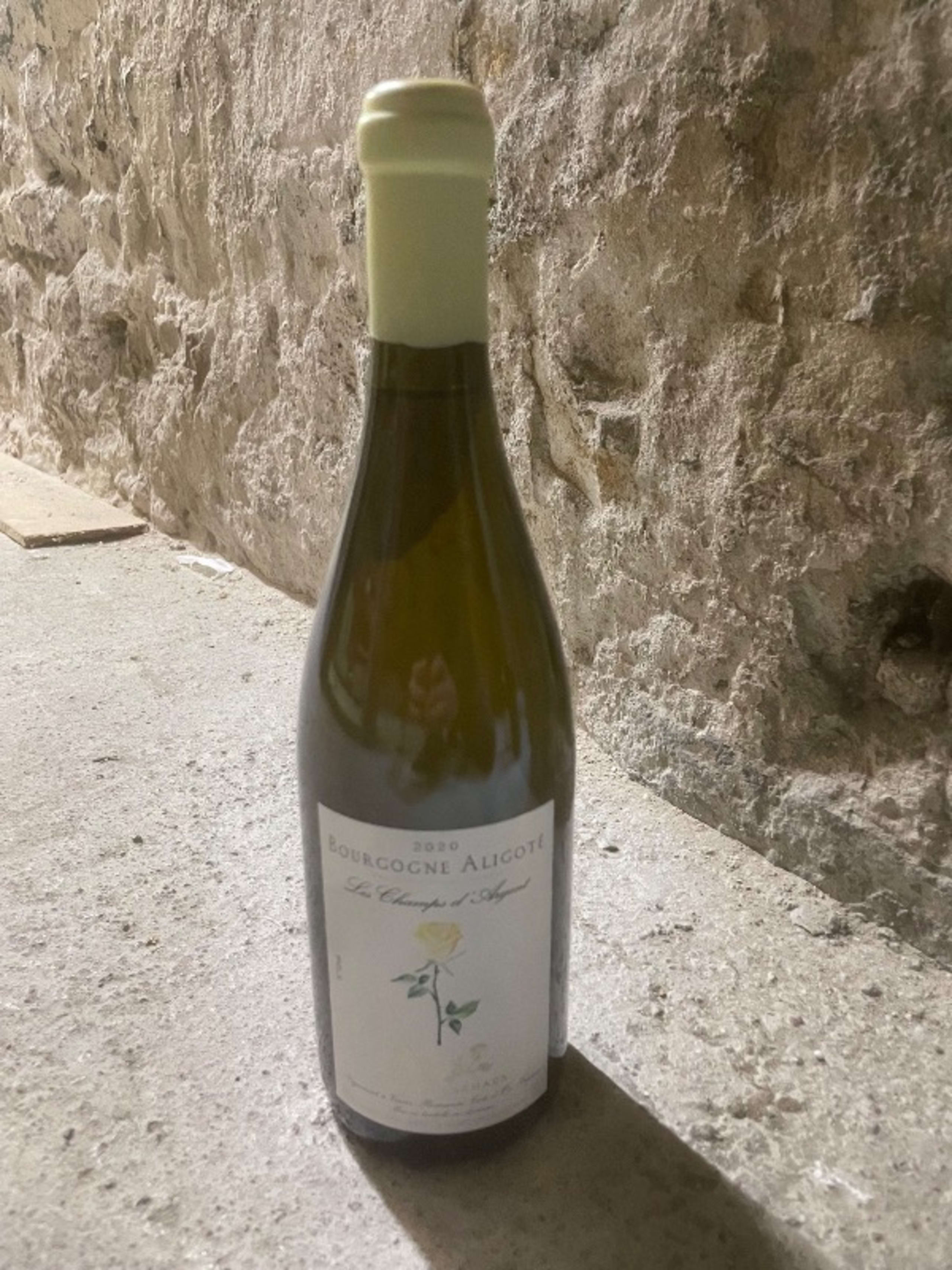 Bourgogne Aligoté, Les Champs d'Argent, Charles Lachaux, 2020