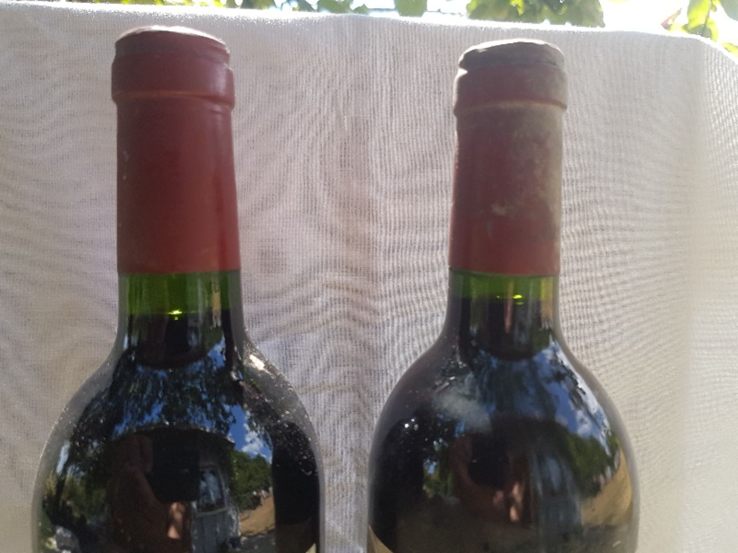 Wine Level