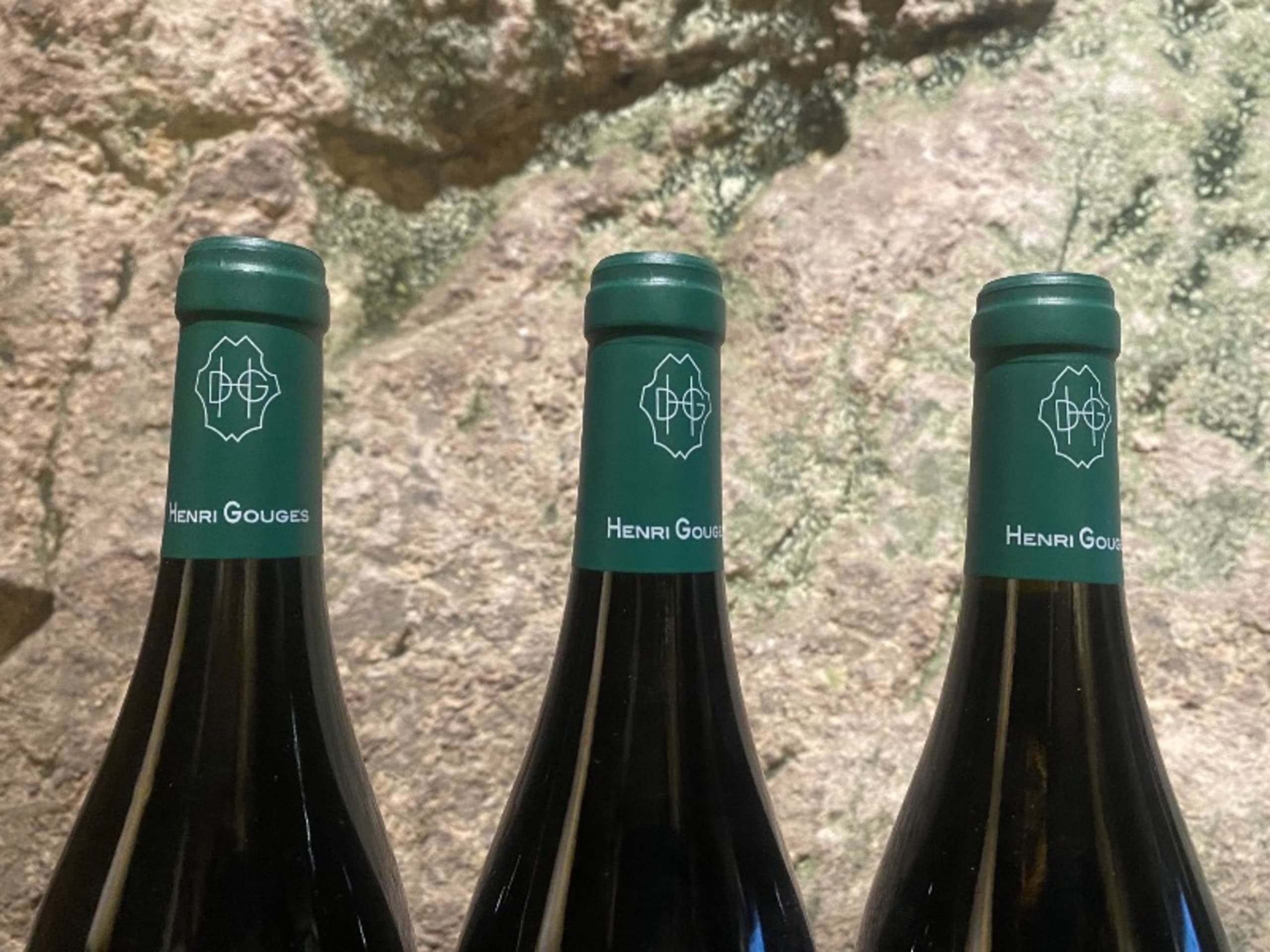 Wine Level