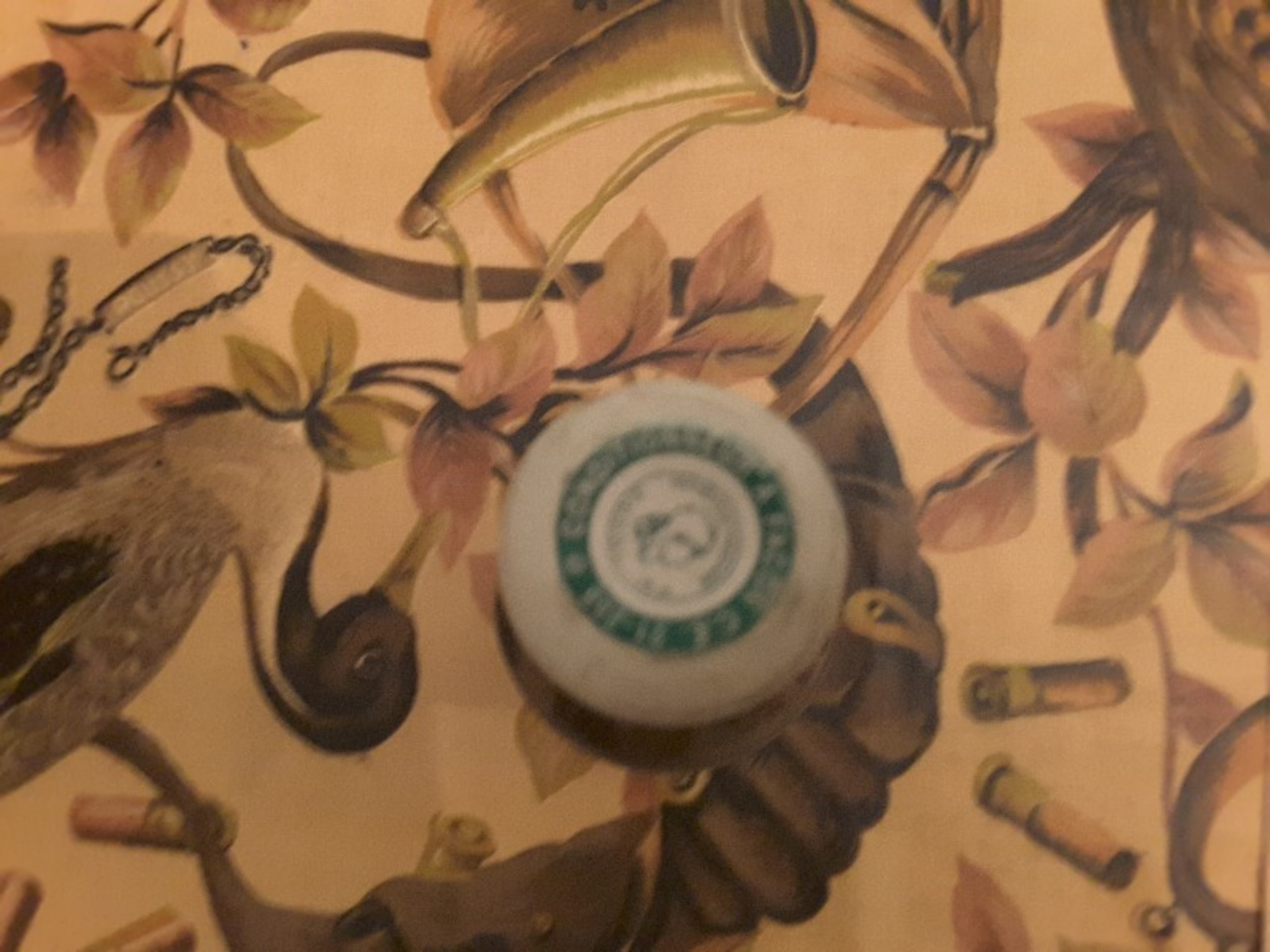 Capsules