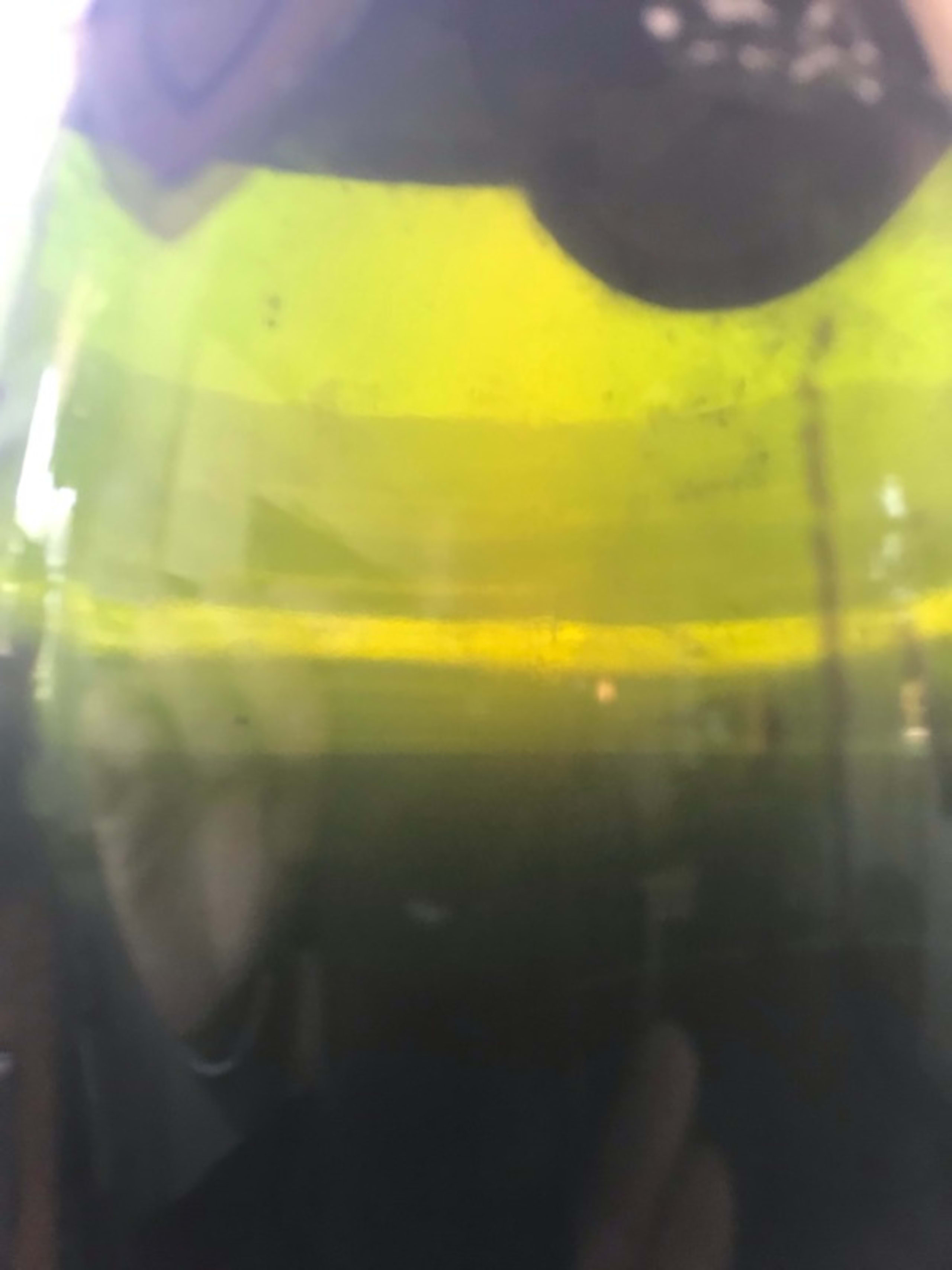 Wine Level