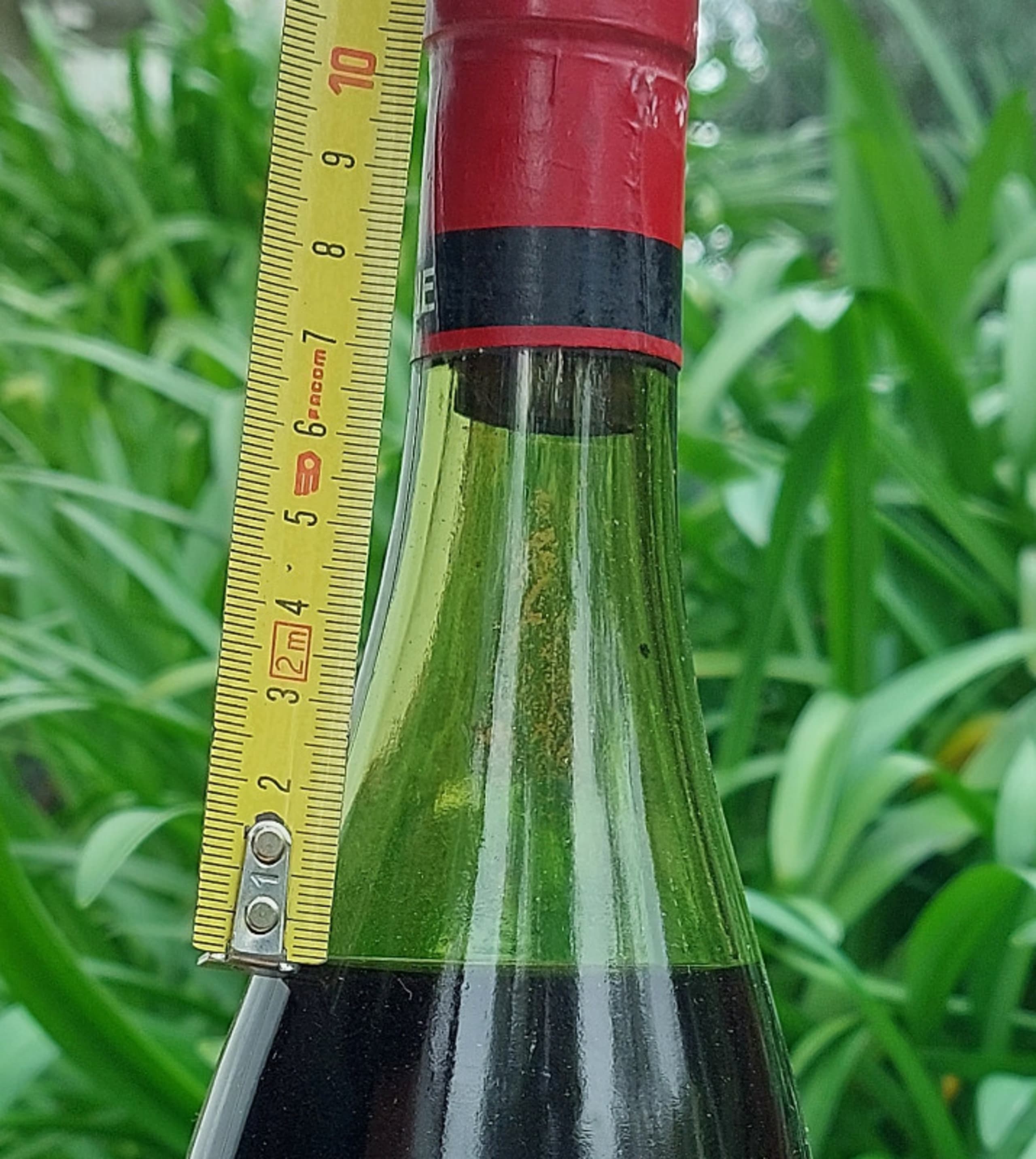Wine Level