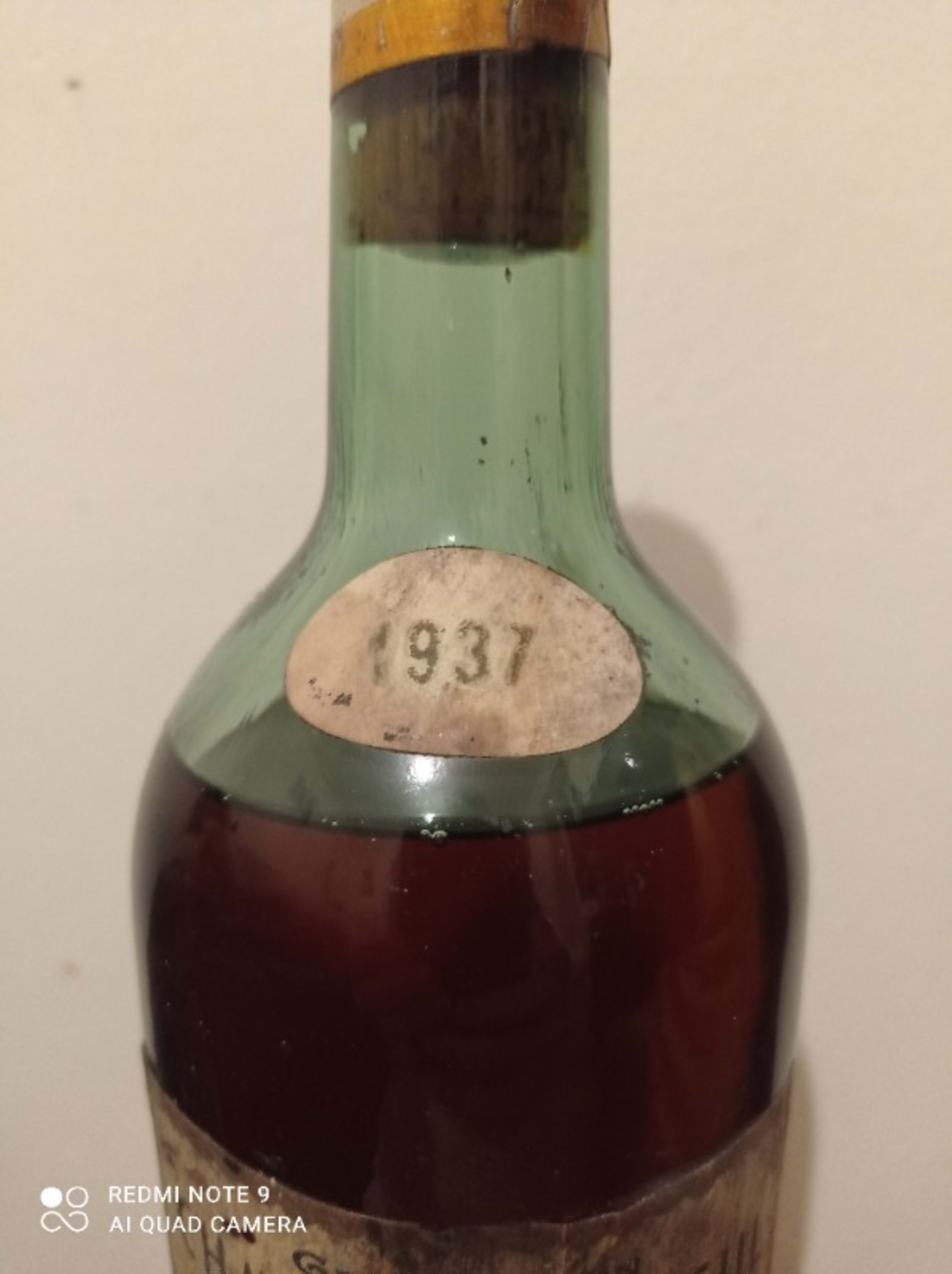 Wine Level