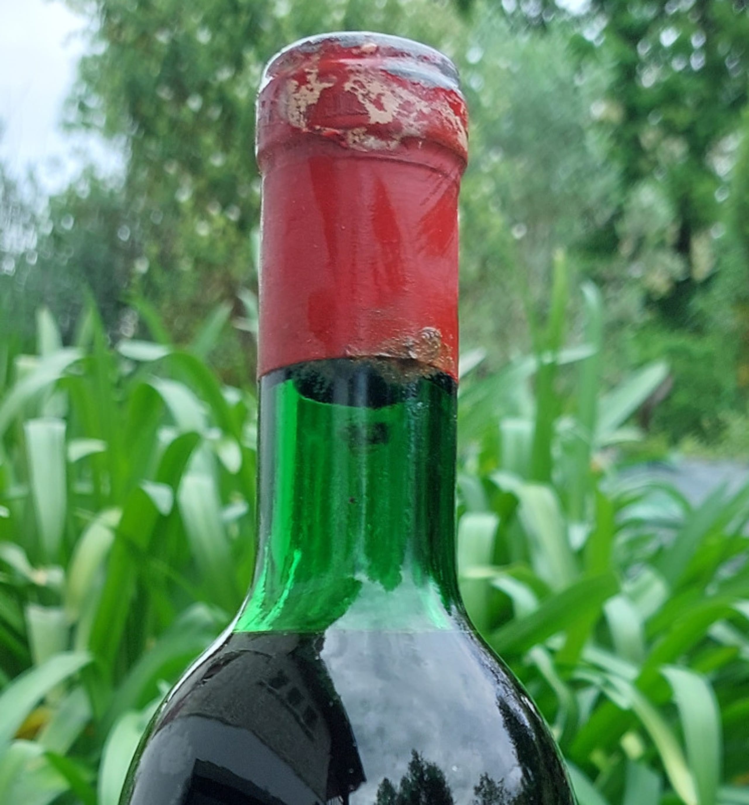 Wine Level