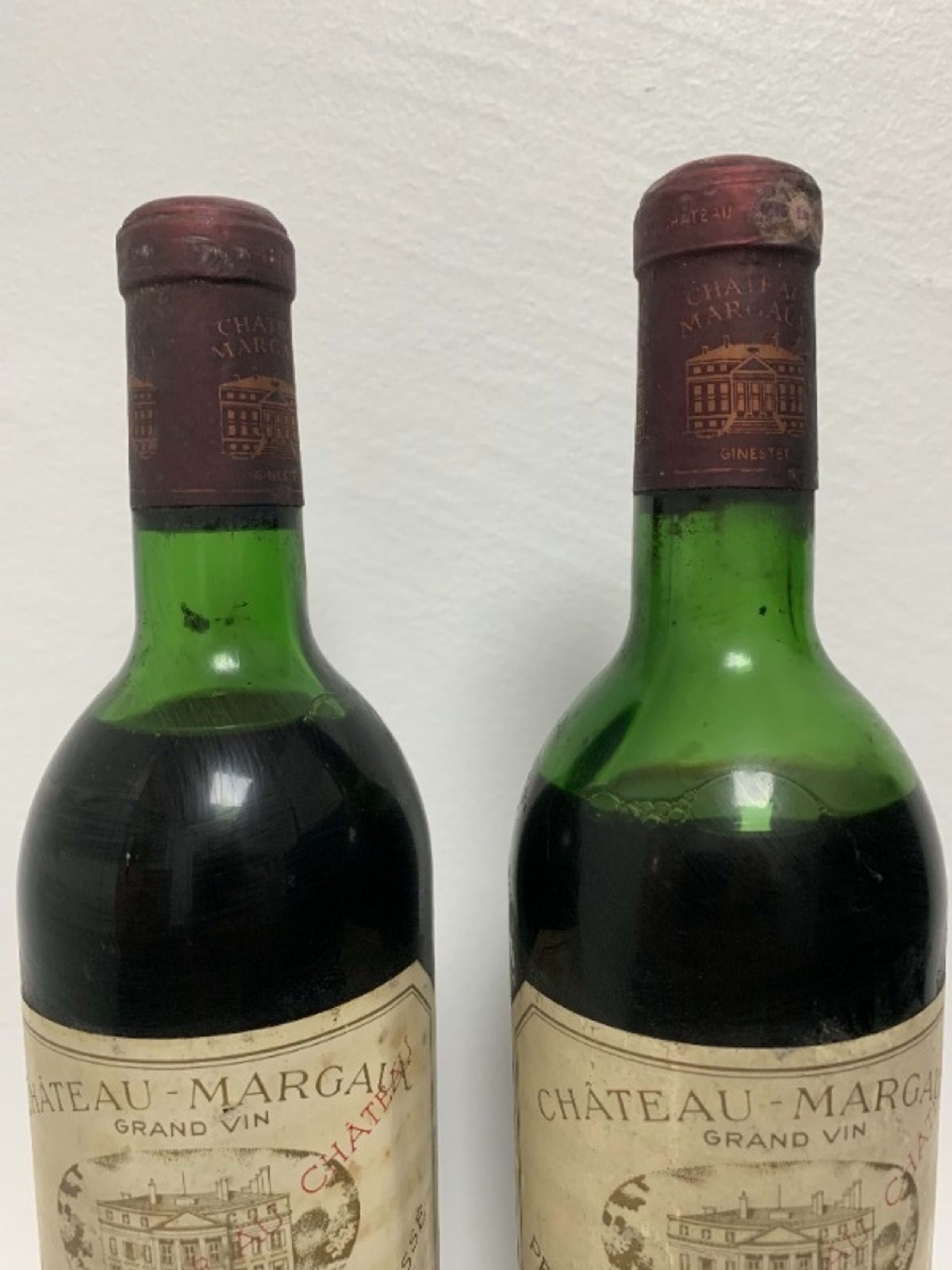 Wine Level