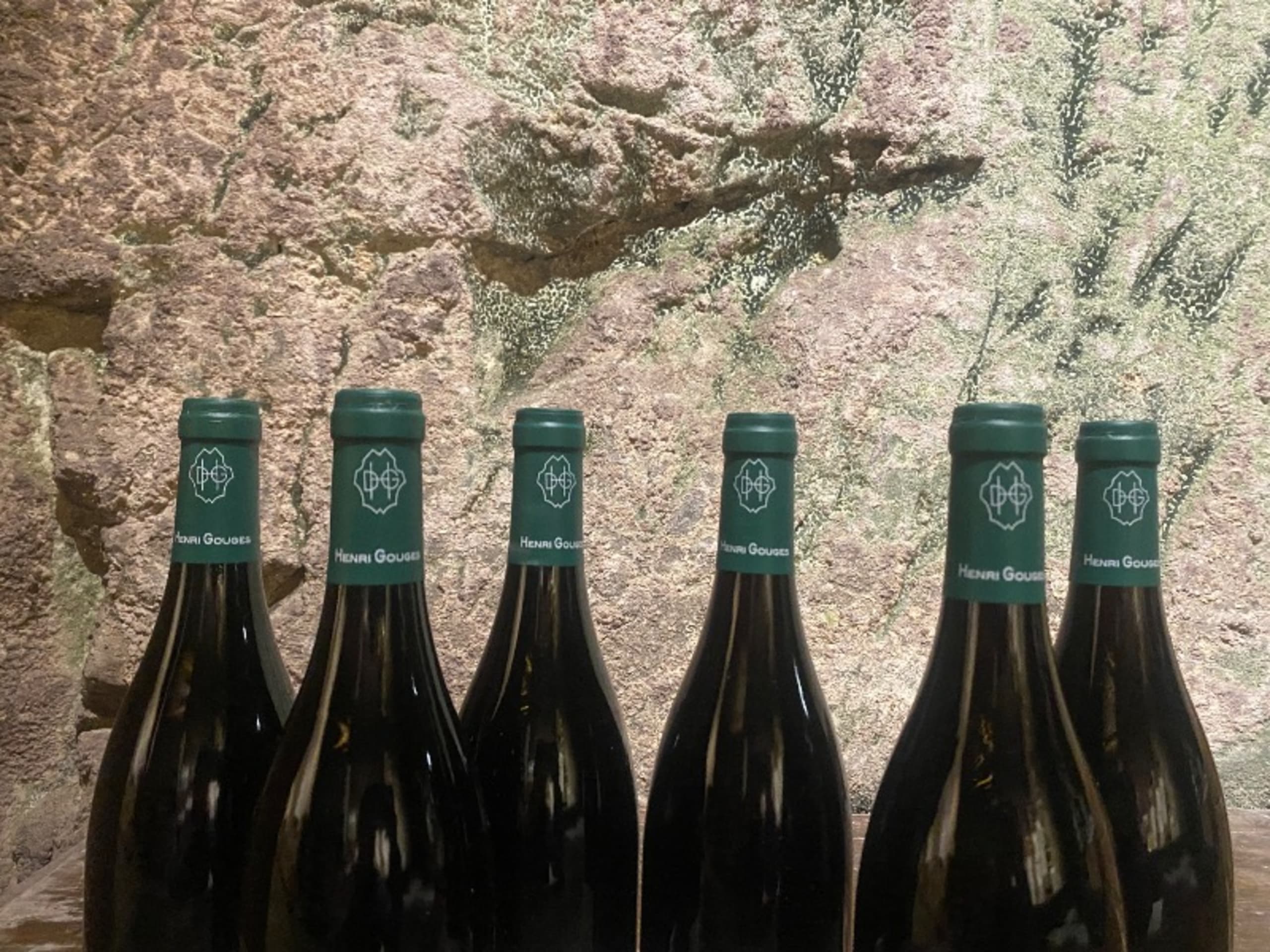 Wine Level