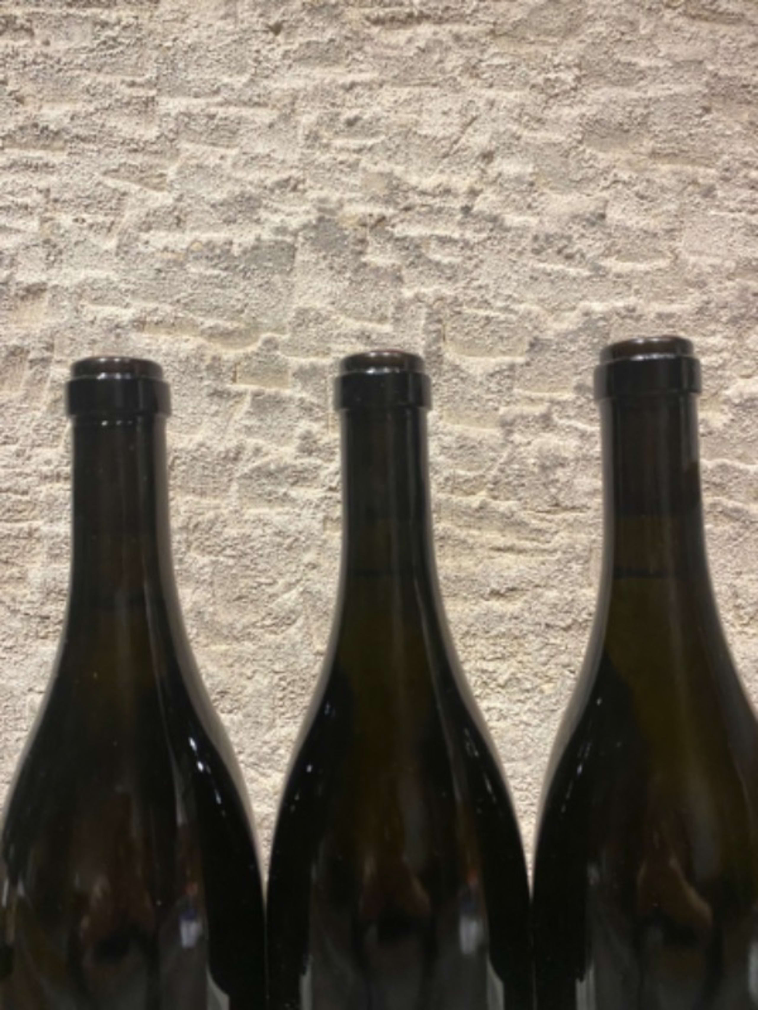 Wine Level