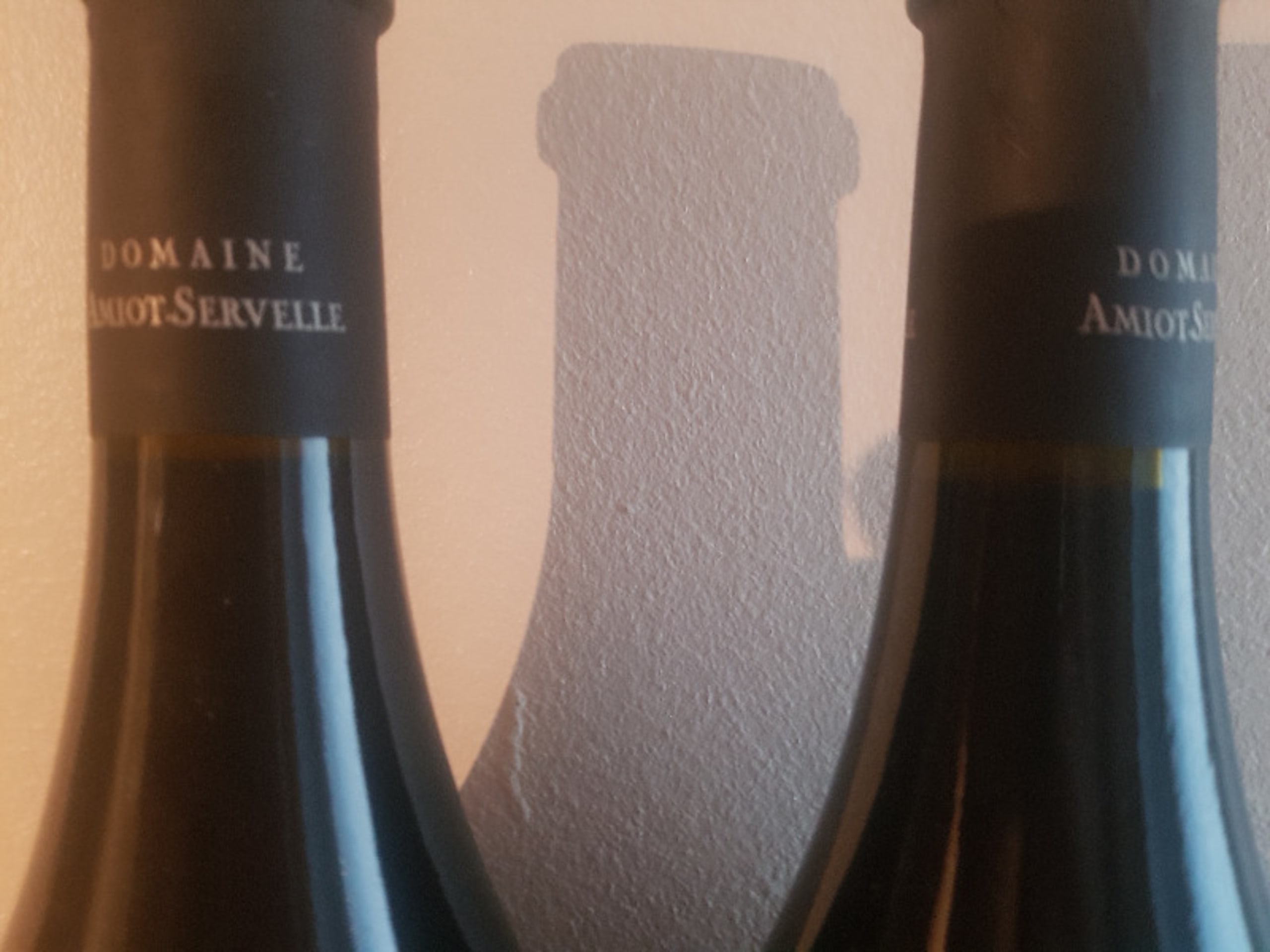 Wine Level