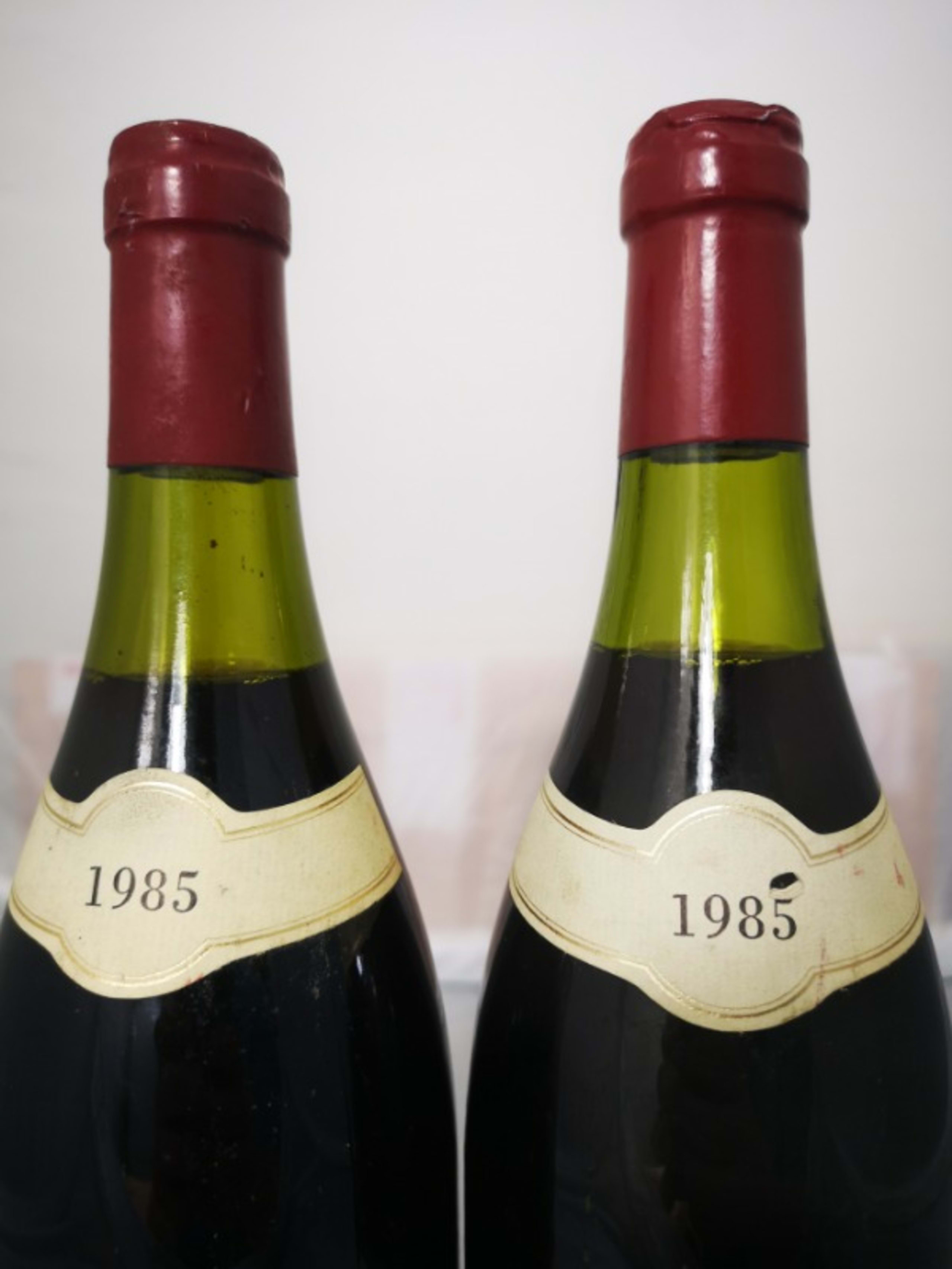 Wine Level