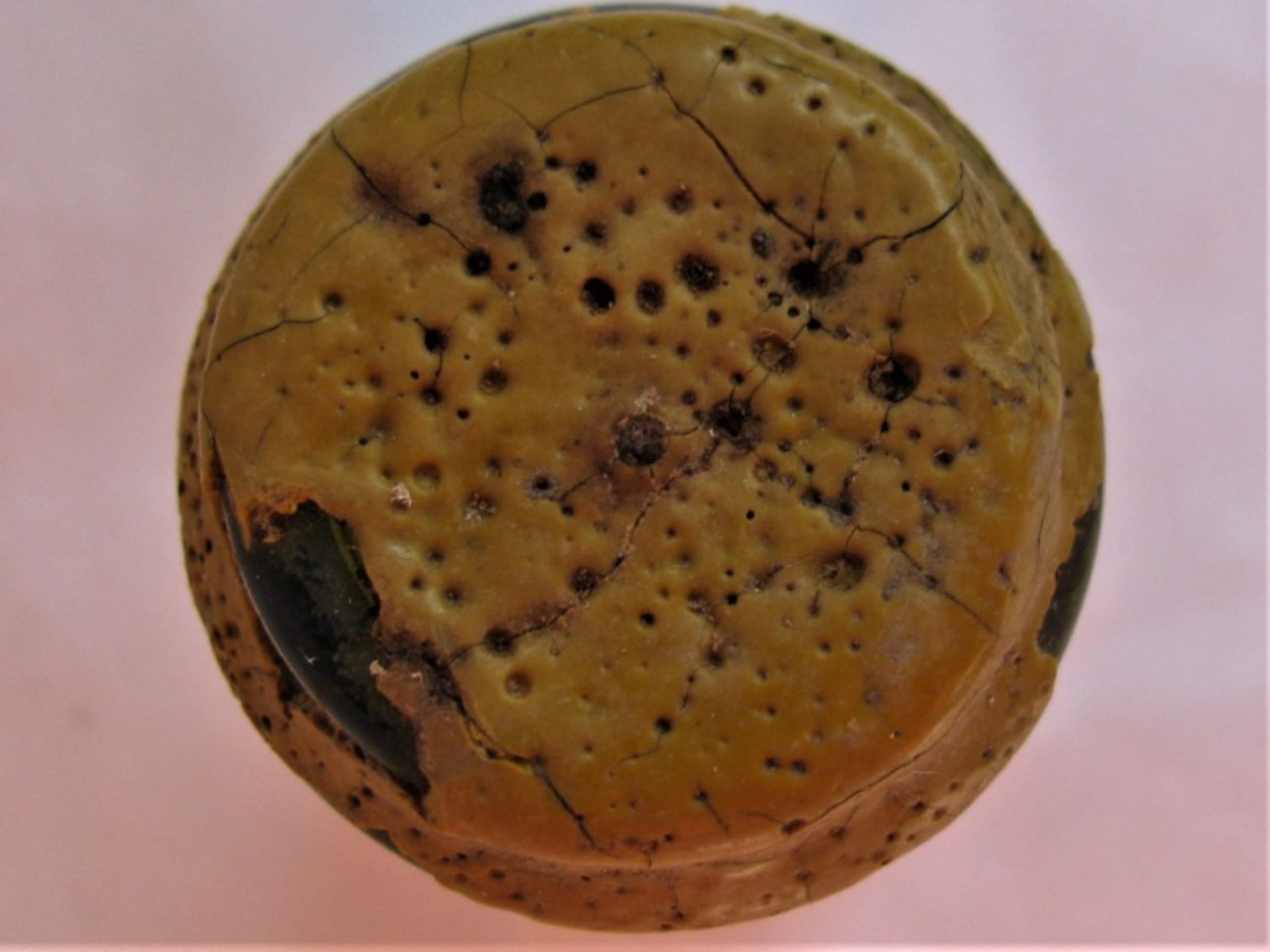 Capsules