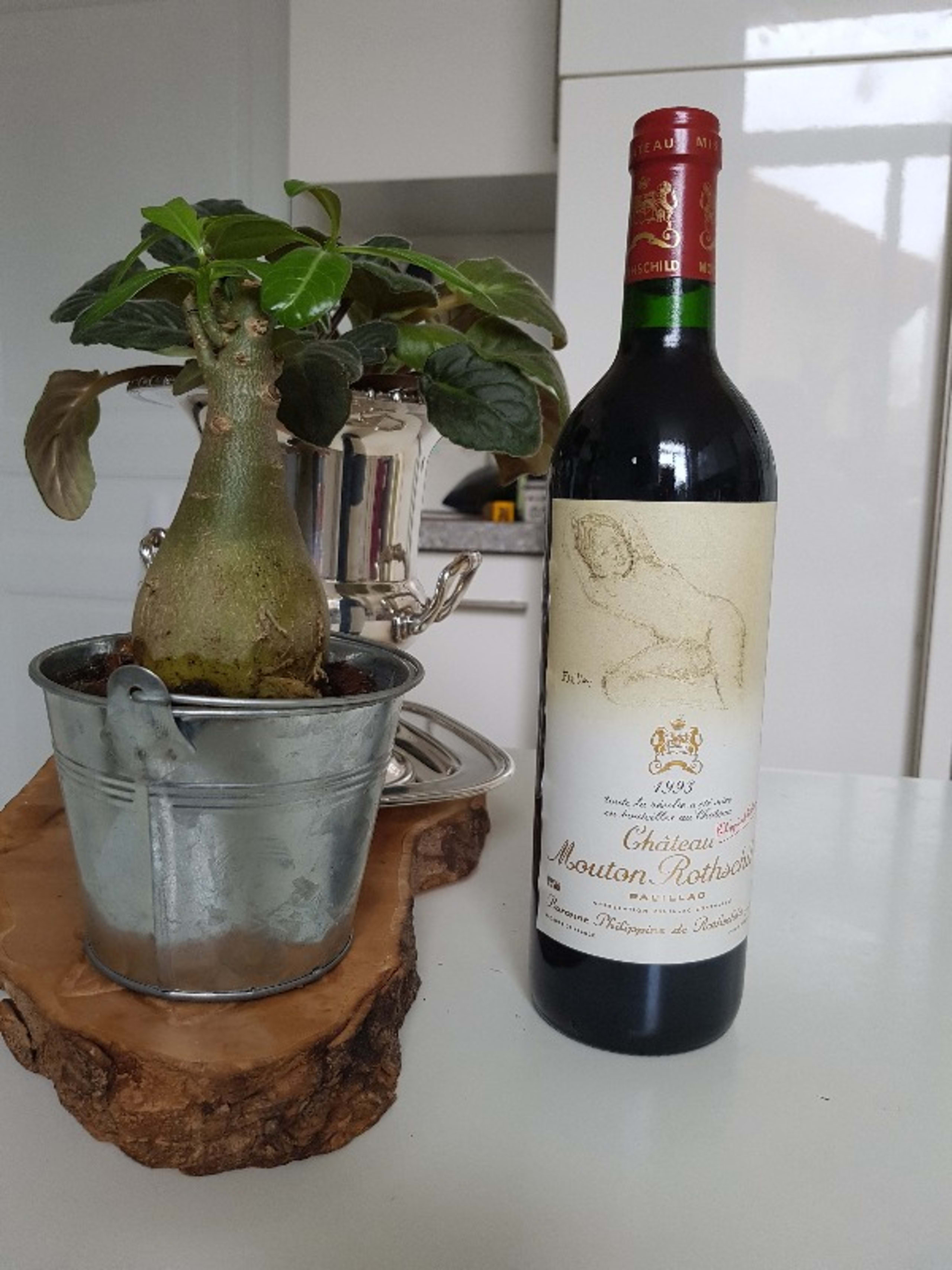 Château Mouton Rothschild, Pauillac, 1993