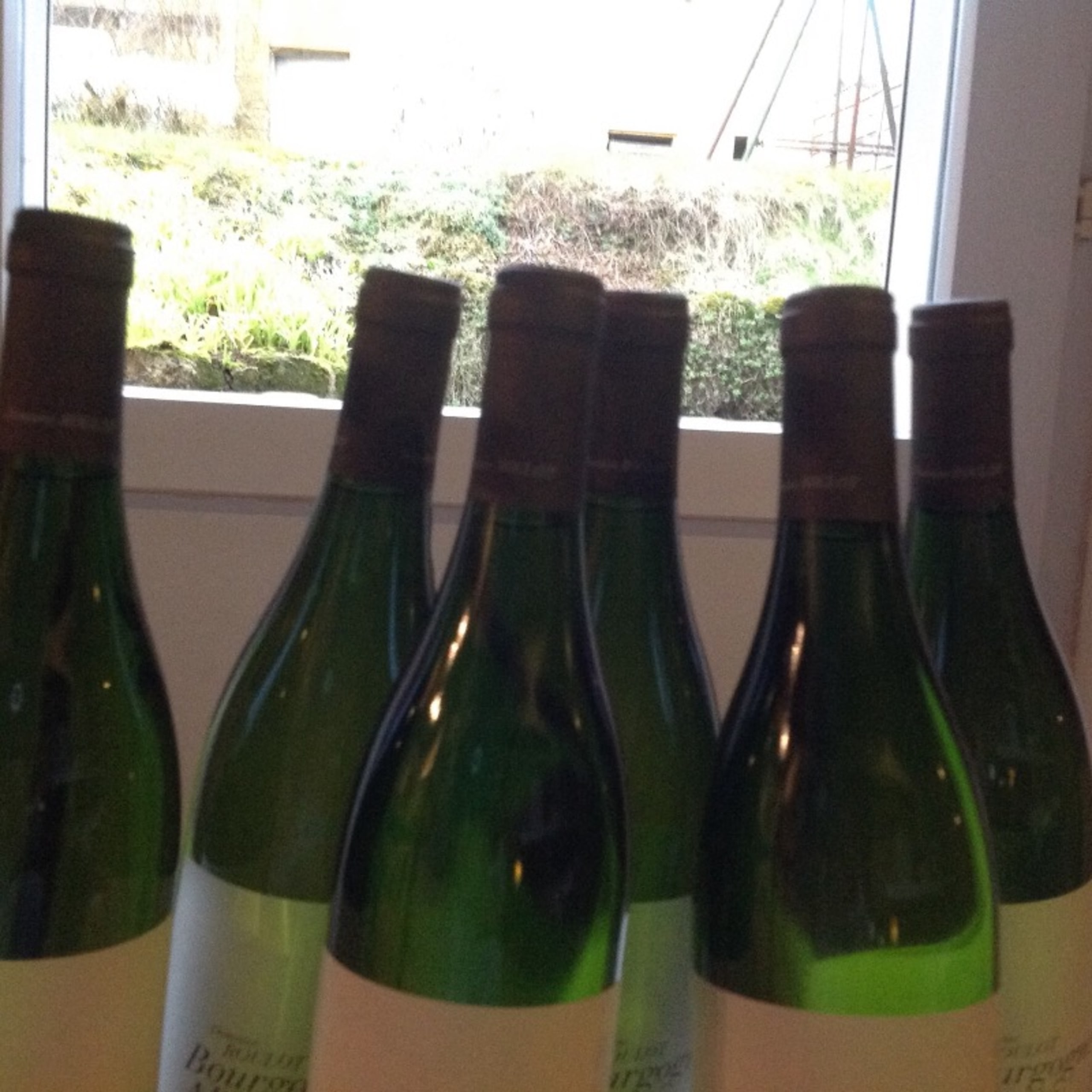 Wine Level