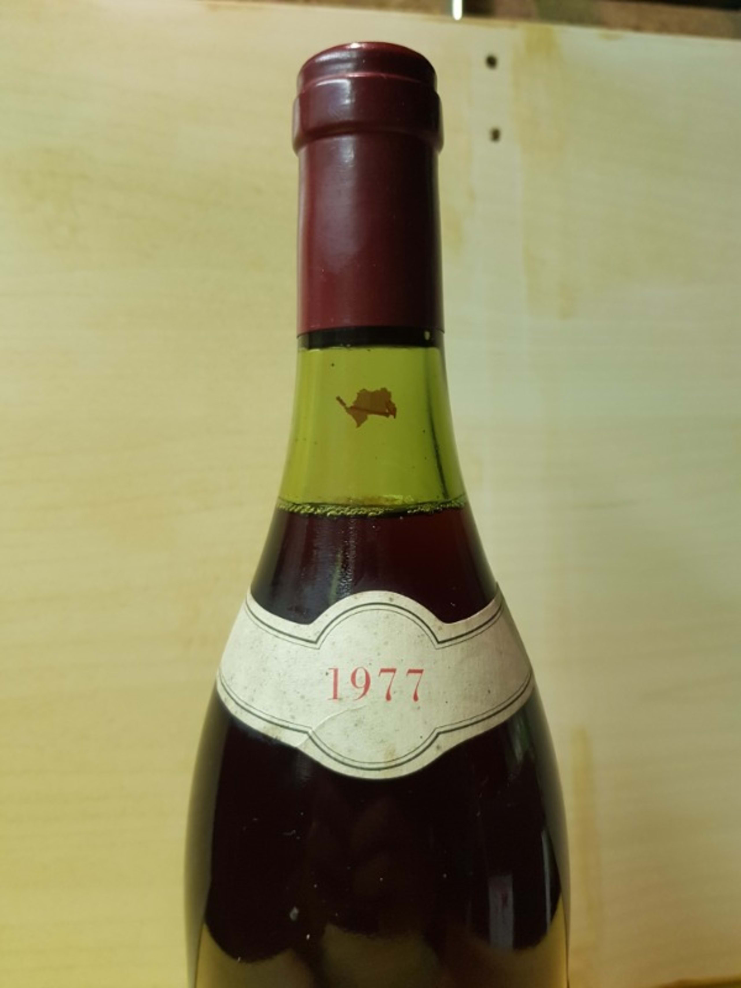 Wine Level