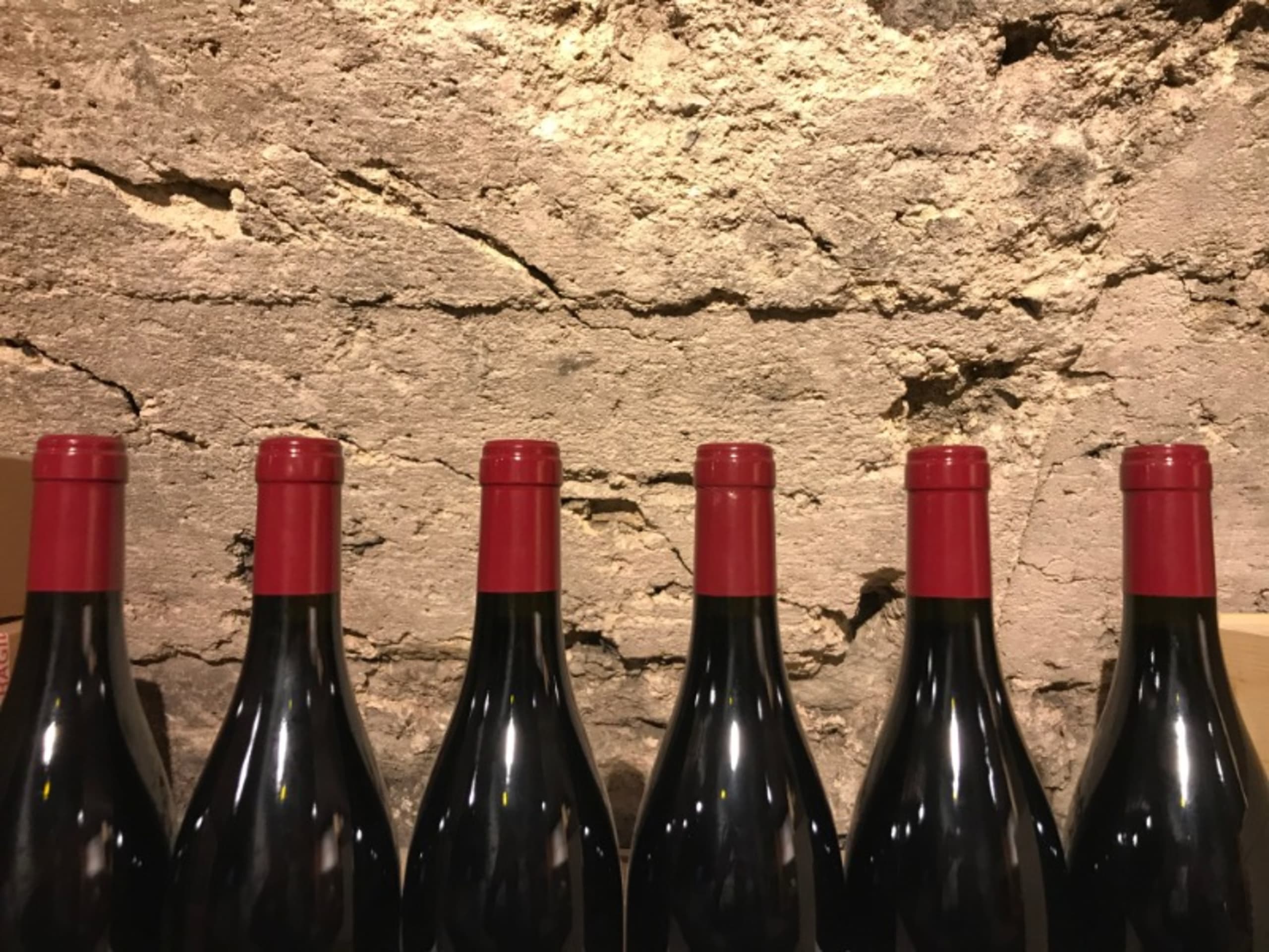 Wine Level