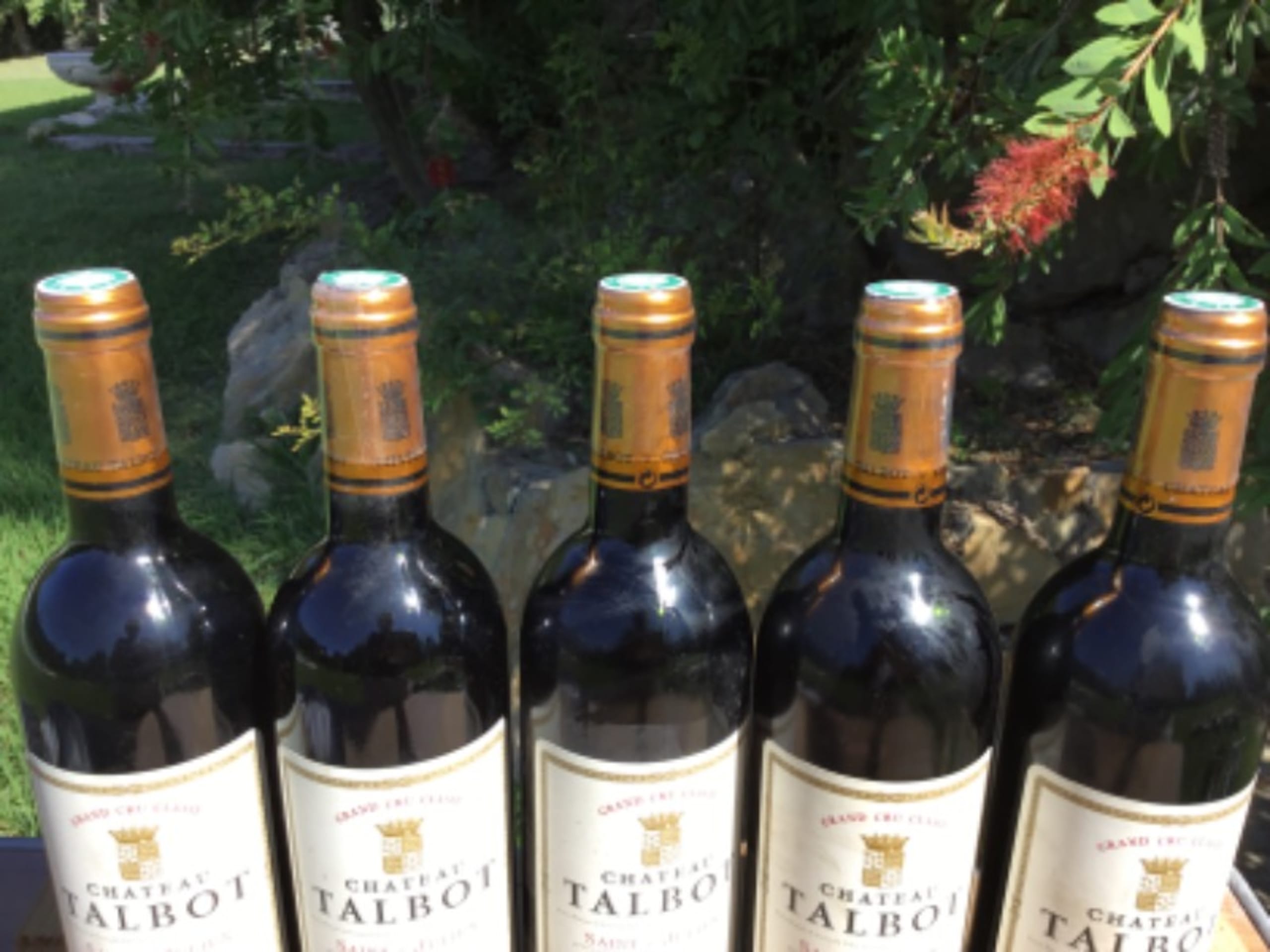 Wine Level