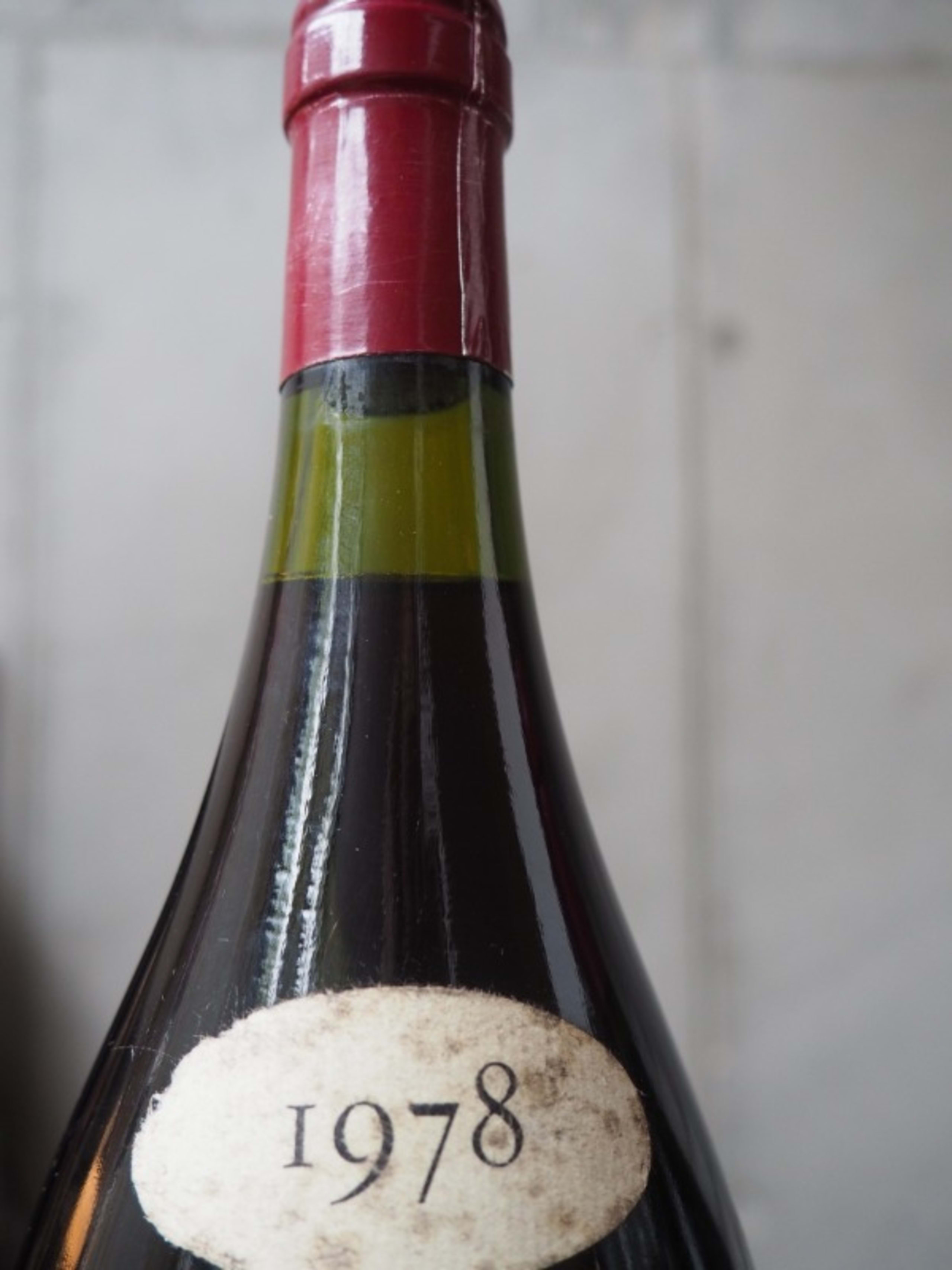 Wine Level