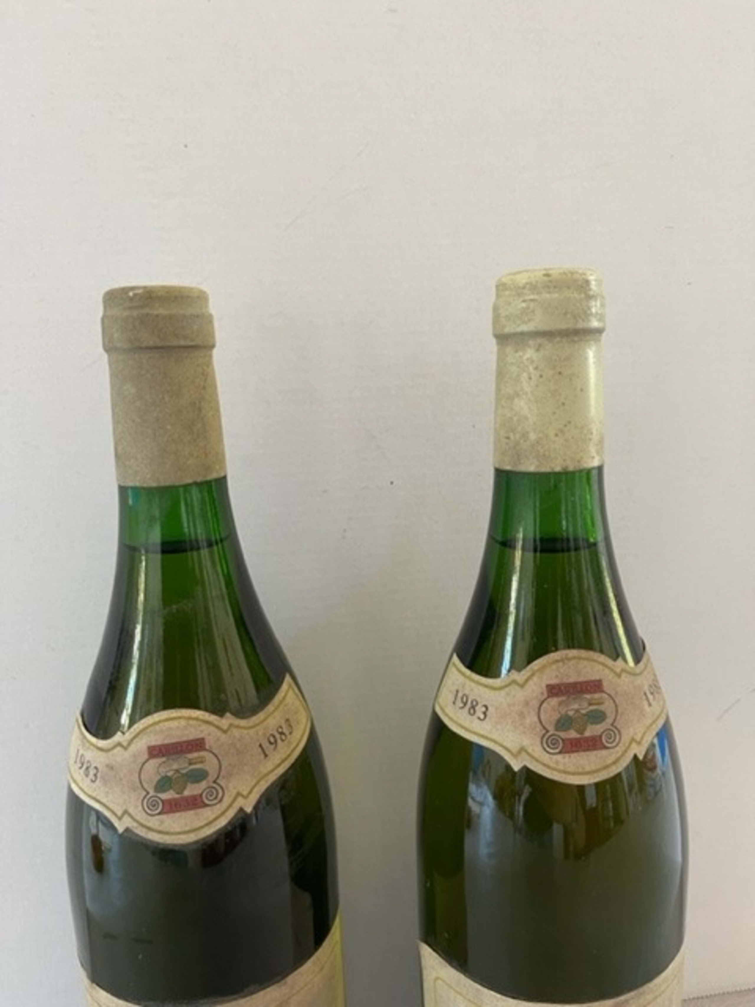 Wine Level
