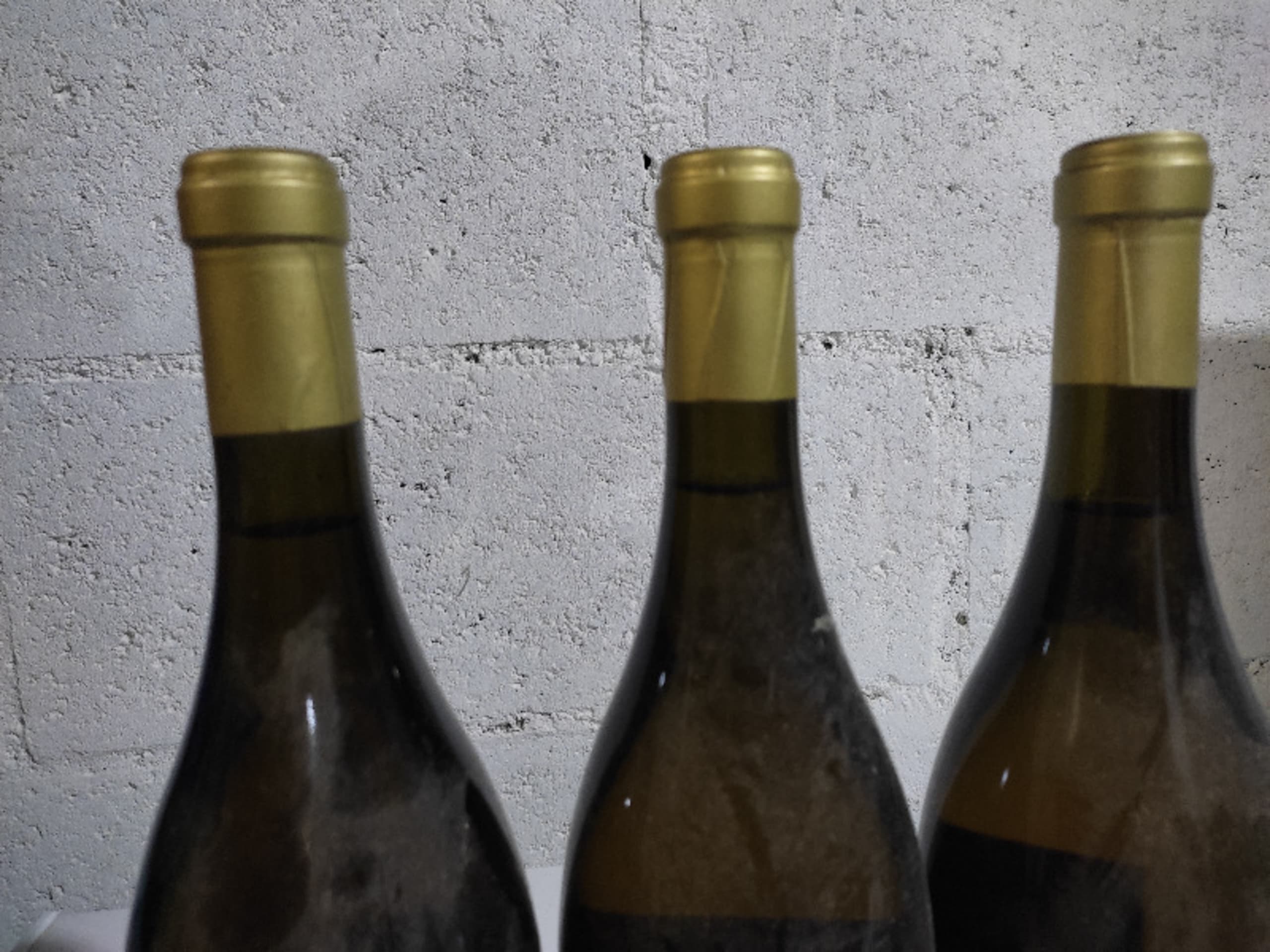 Wine Level