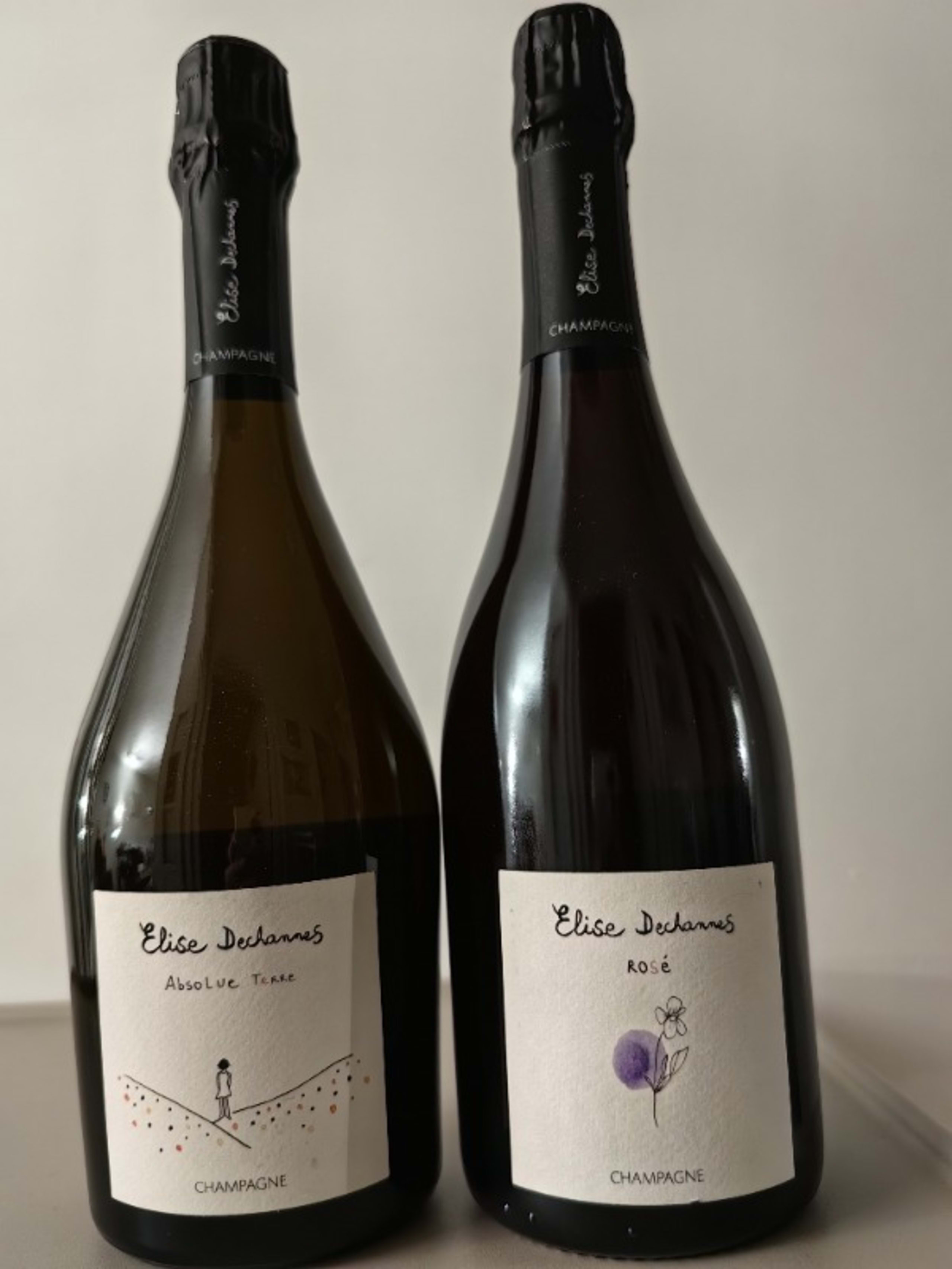 2 x Elise Dechannes,  Champagne, Absolue Terre, 2018 |  Rosé de Saignée, 2020