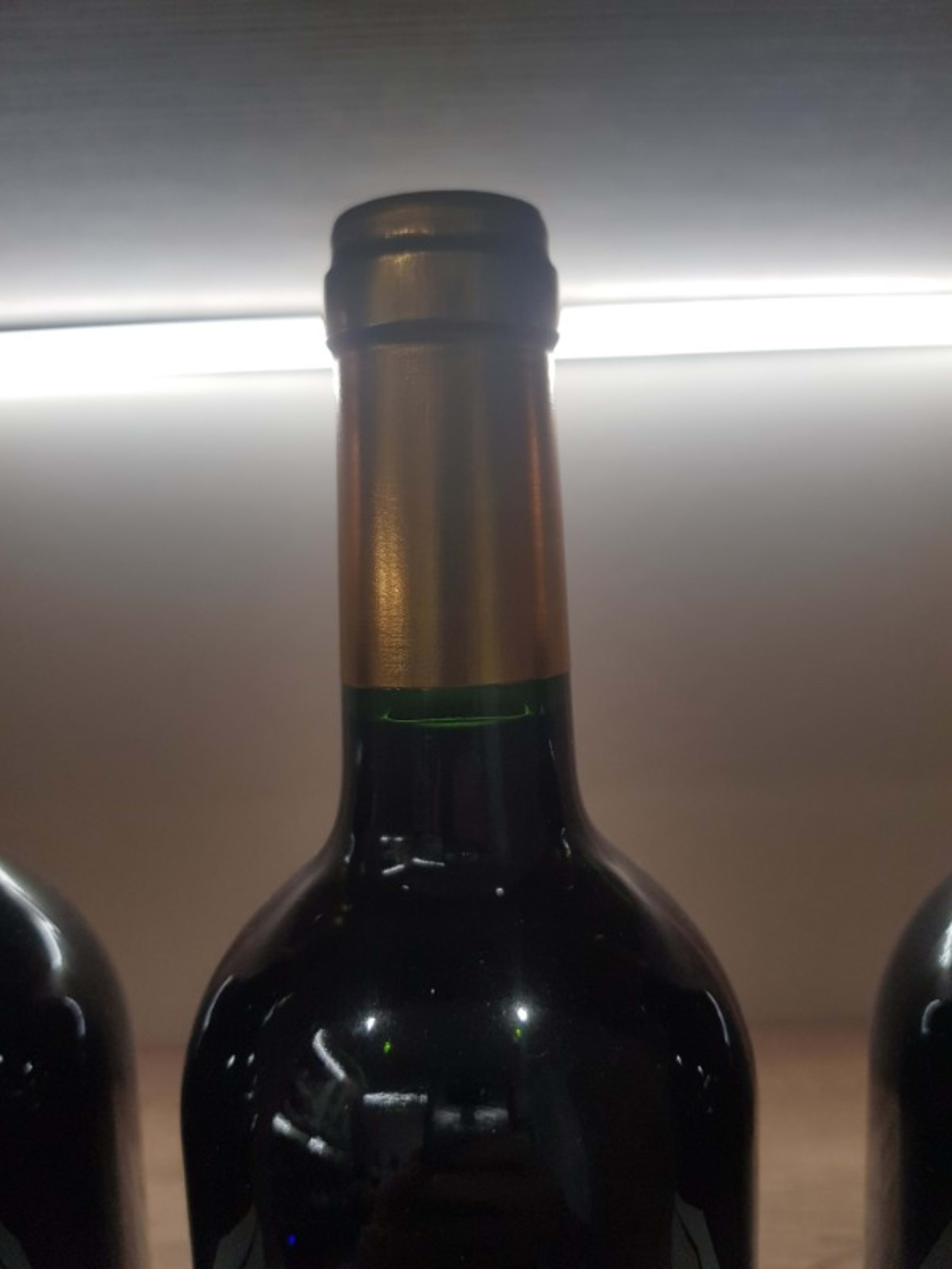 Wine Level