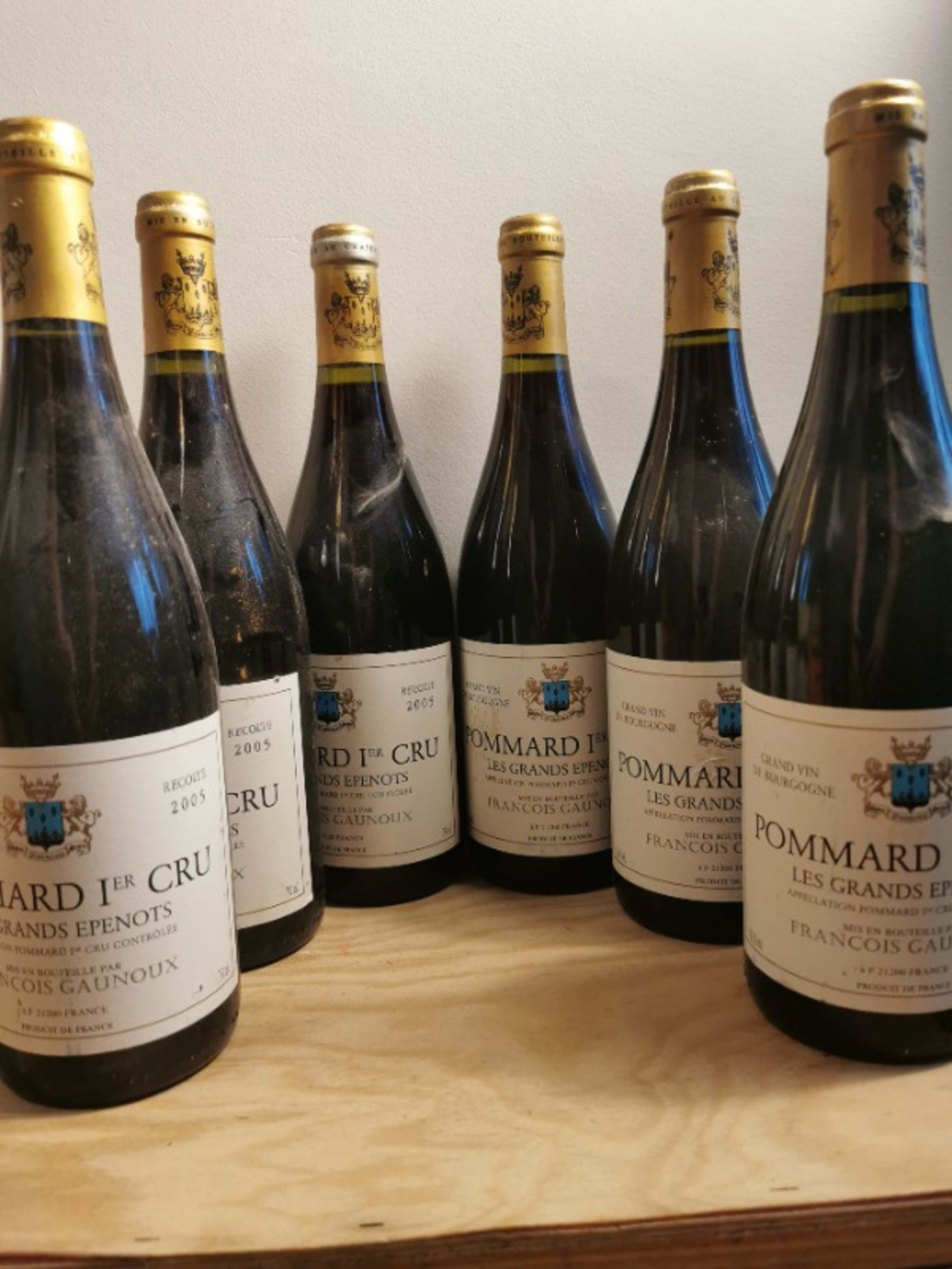 6 x Pommard, 1er Cru - Les Grands Epenots, François Gaunoux, 2005