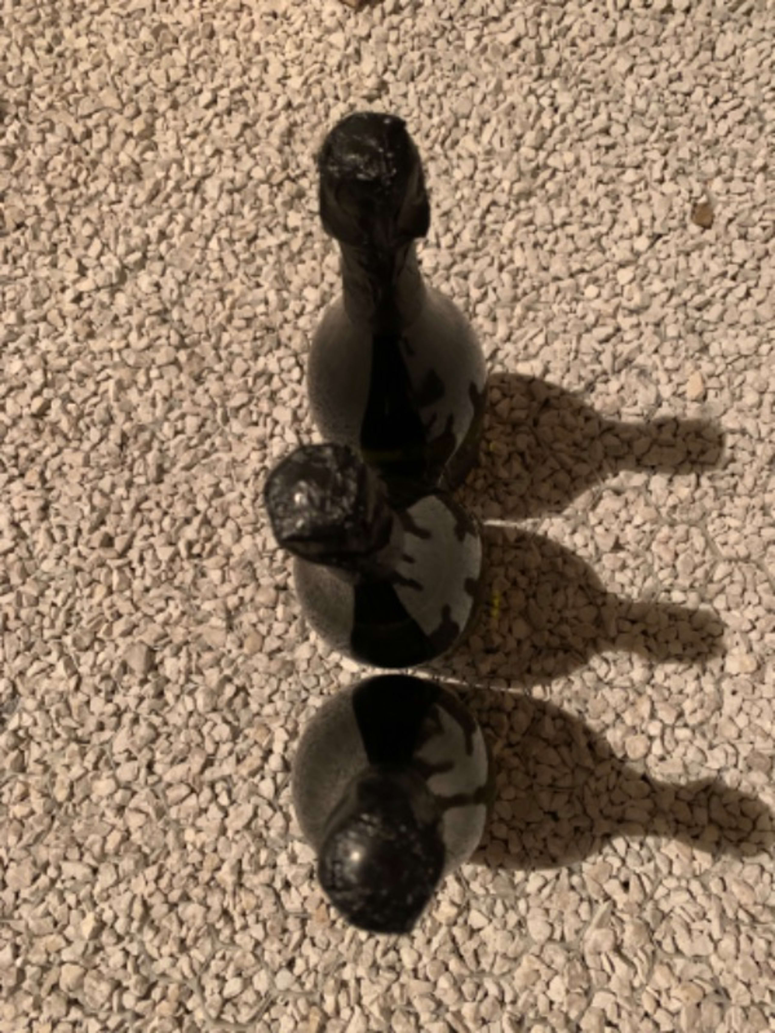 Caps